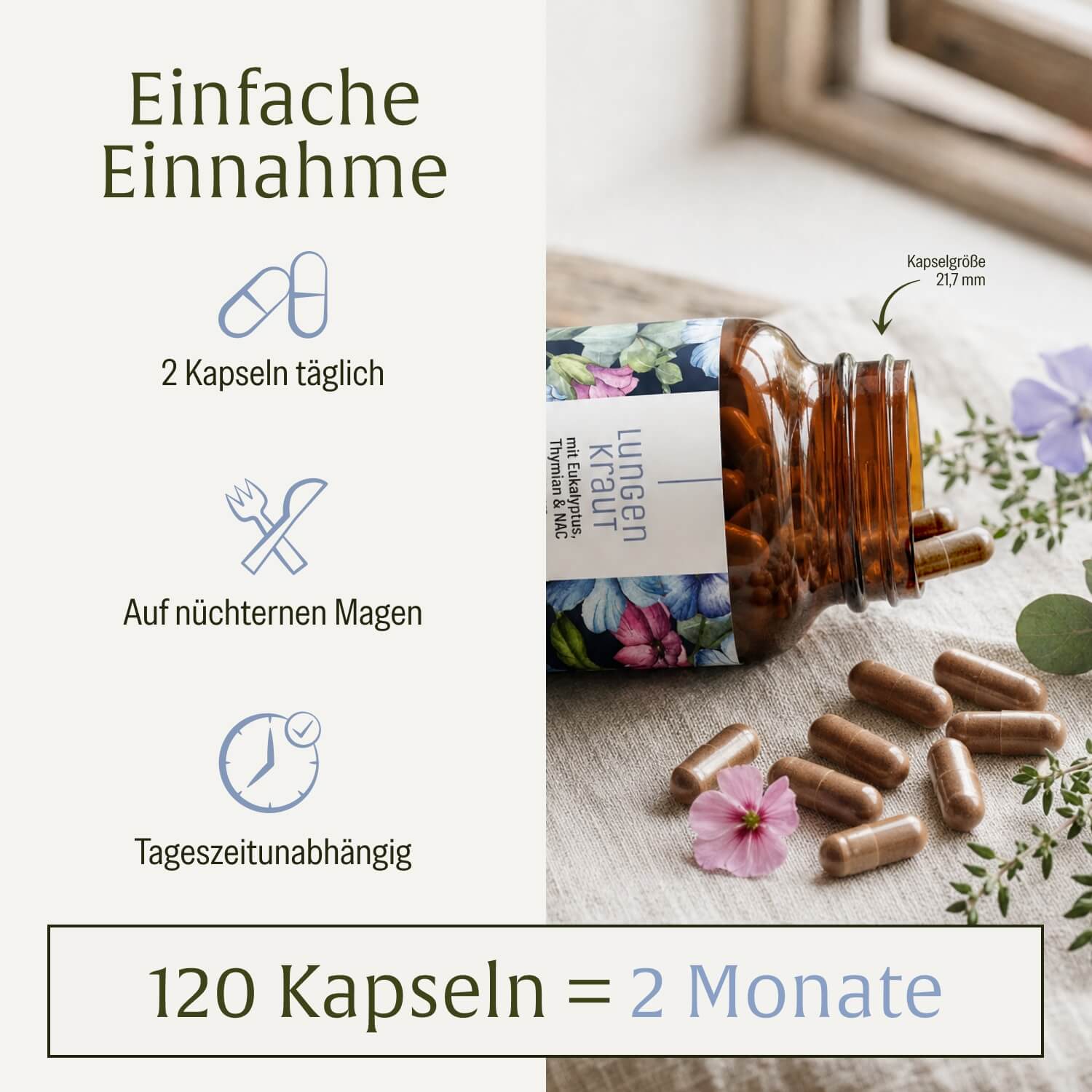 naturtreu-lungenkraut-eukalyptus-thymian-nac-kapseln image 6