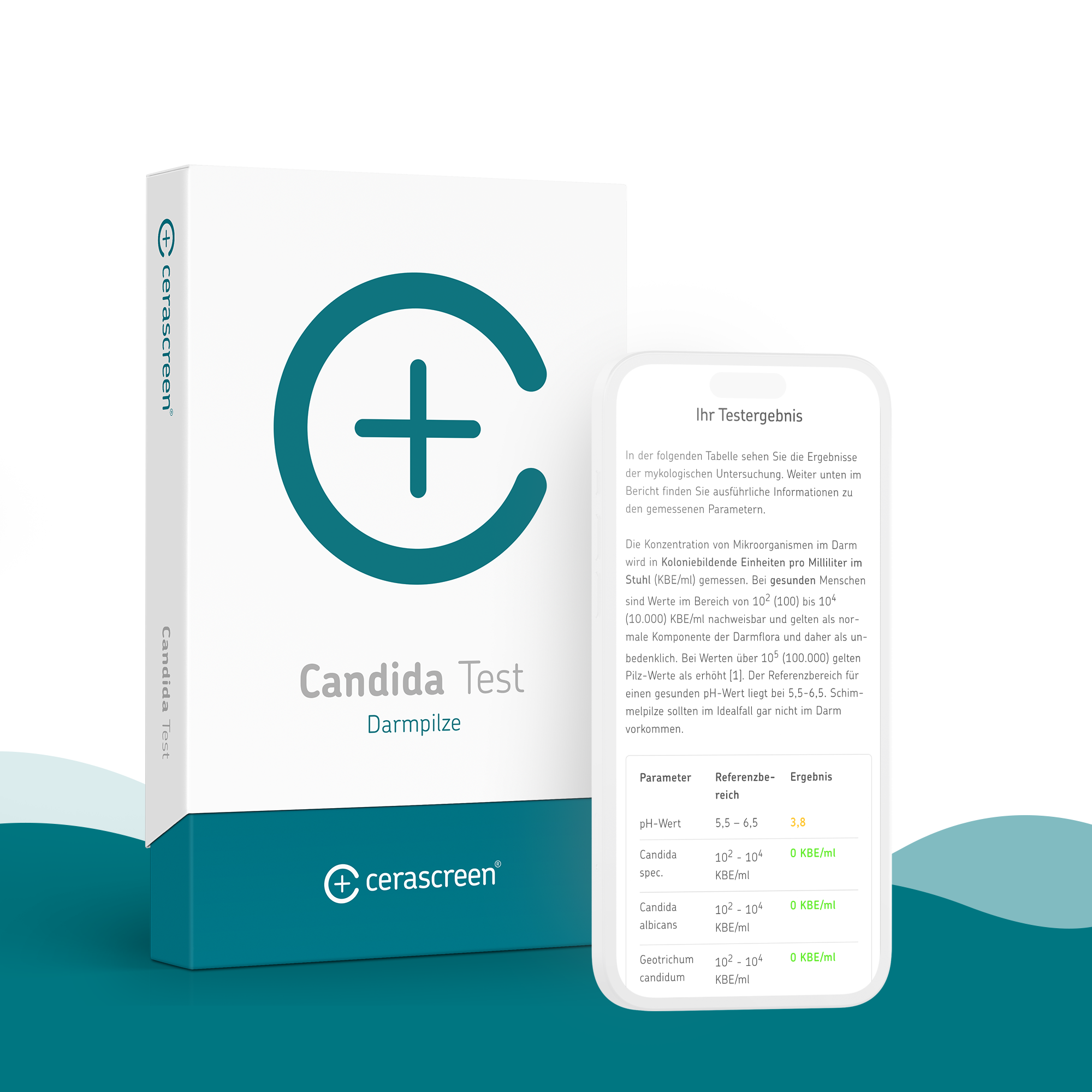 cerascreen-vital-candida-test-darmtest-f-r-zuhause image 3