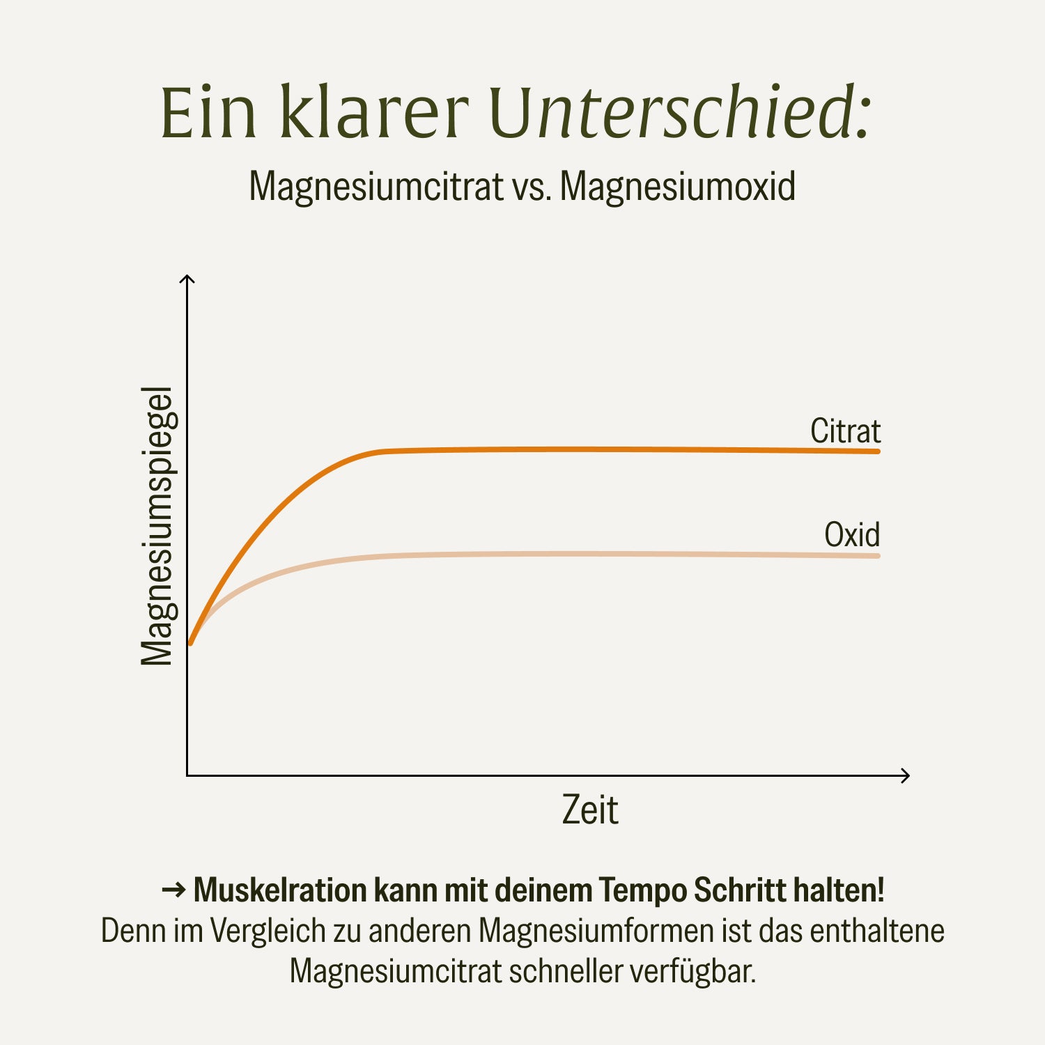 naturtreu-muskelration-magnesiumcitrat-l-glutamin-kapseln image 8