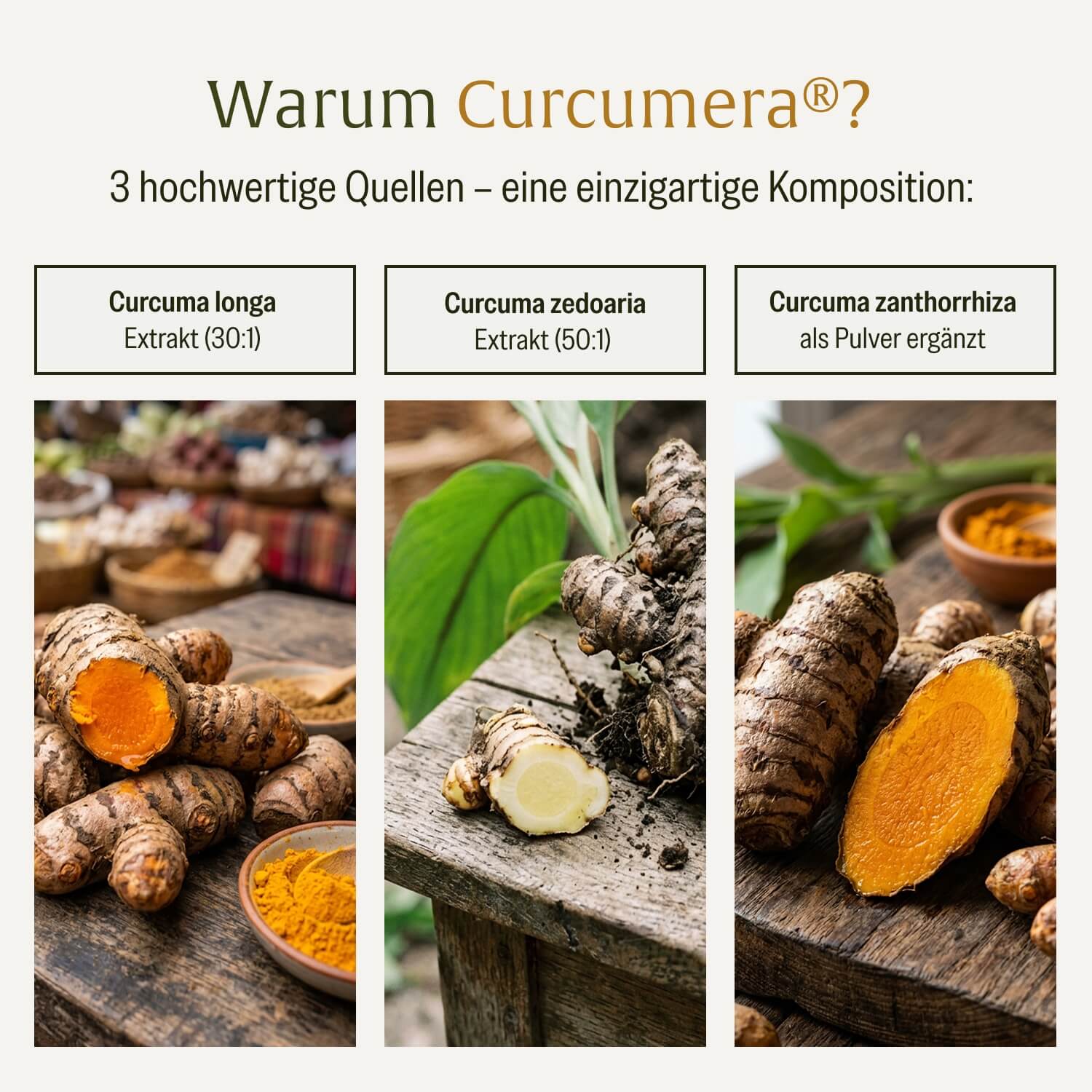 naturtreu-k-nigskurkuma-curcumera-premium-komposition-kurkuma-kapseln-mit-piperi image 8