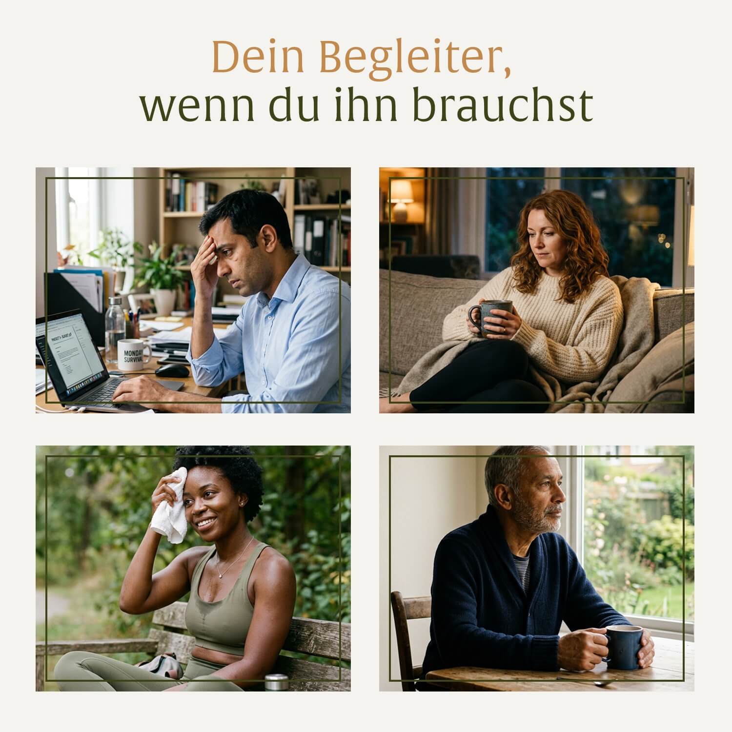 naturtreu-ruhewurzel-ashwagandha-mit-ksm-66-vitamin-b2 image 8