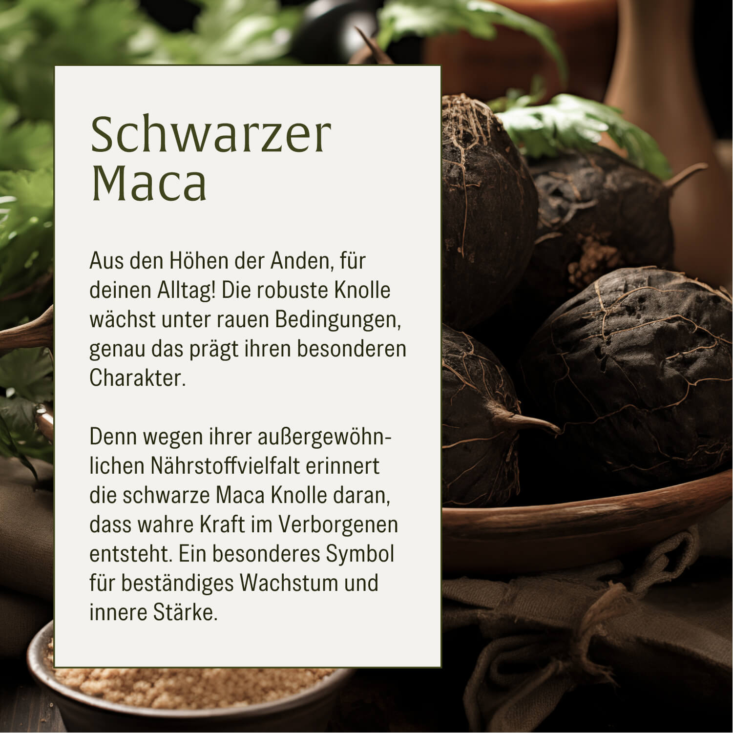 naturtreu-heldenkraft-maca-komplex-mit-tribulus-90-kapseln-f-r-m-nner image 7
