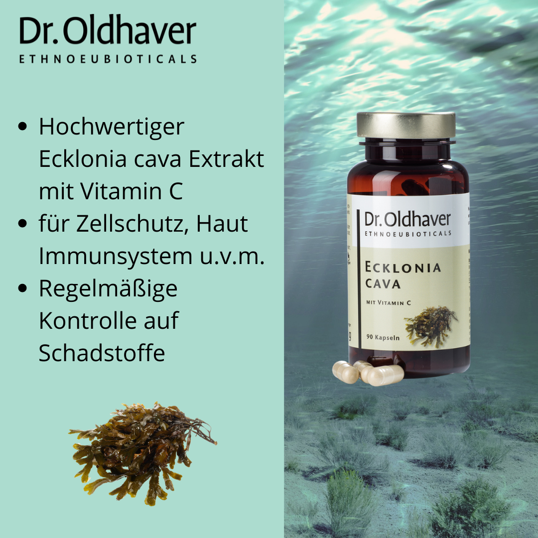 dr-oldhaver-ecklonia-cava-kapseln-90-kps-braunalgen-antioxidans image 5