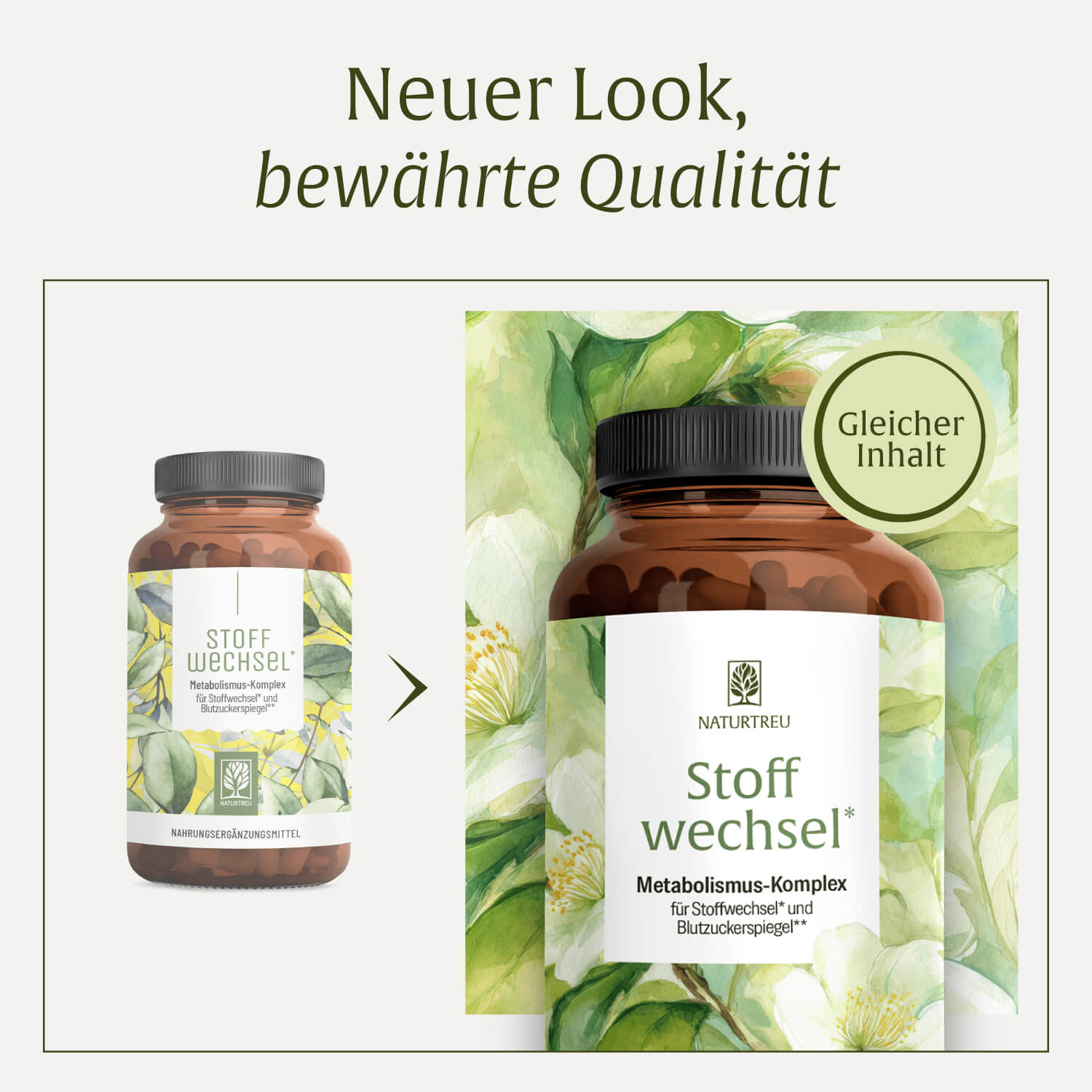 naturtreu-stoffwechsel-metabolismus-komplex-kapseln image 7