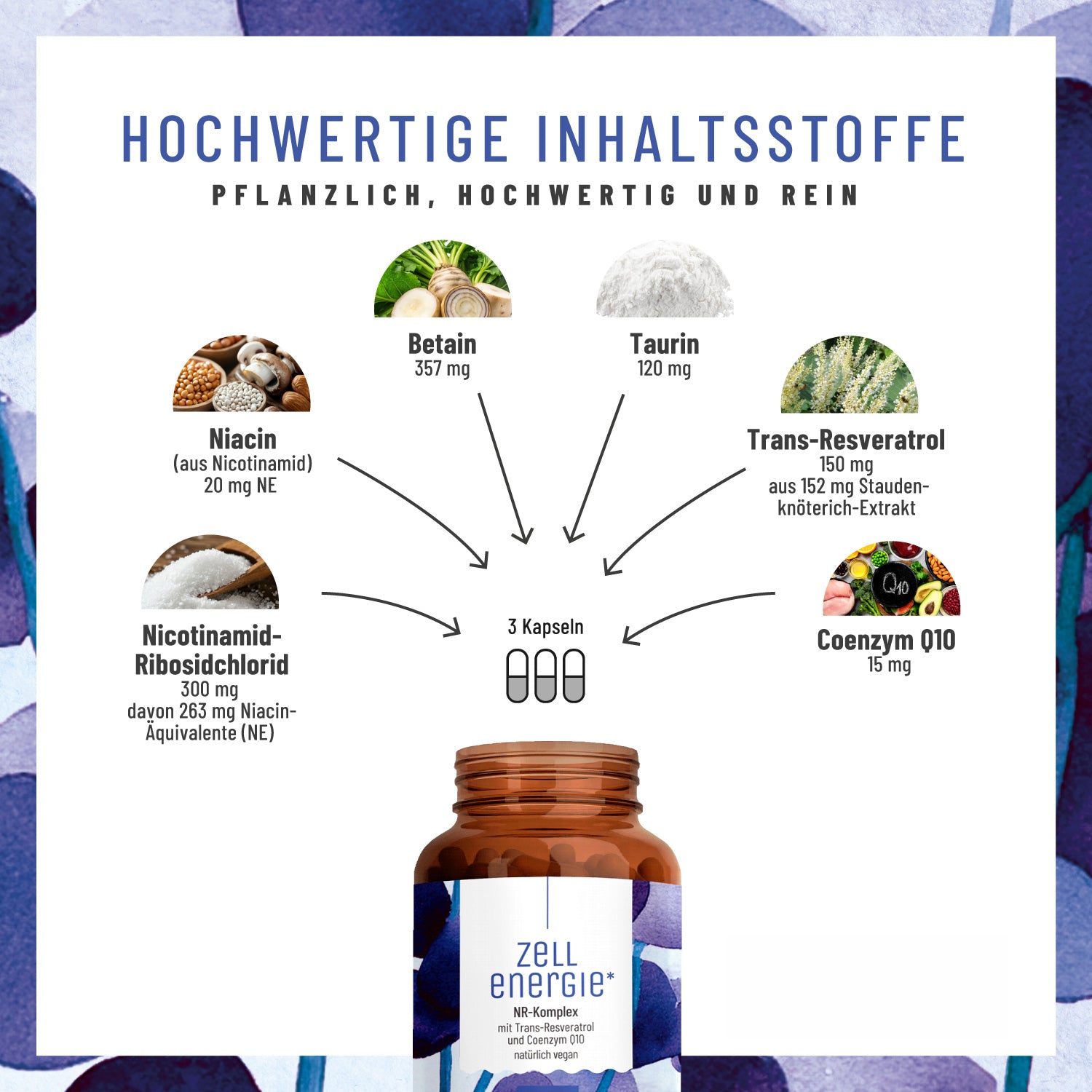 naturtreu-zellenergie-nr-komplex-mit-resveratrol-und-q10-kapseln image 3