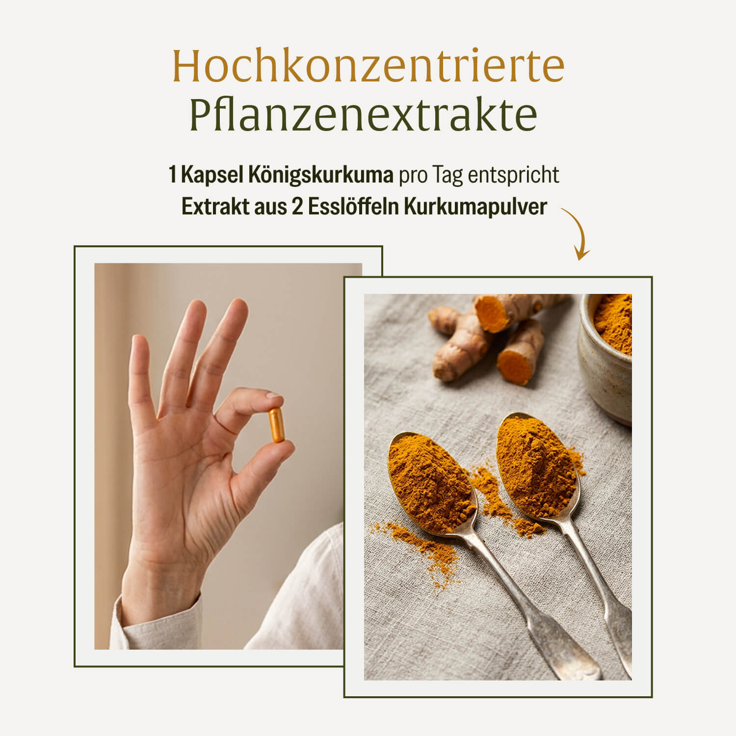 naturtreu-k-nigskurkuma-curcumera-premium-komposition-kurkuma-kapseln-mit-piperi image 7