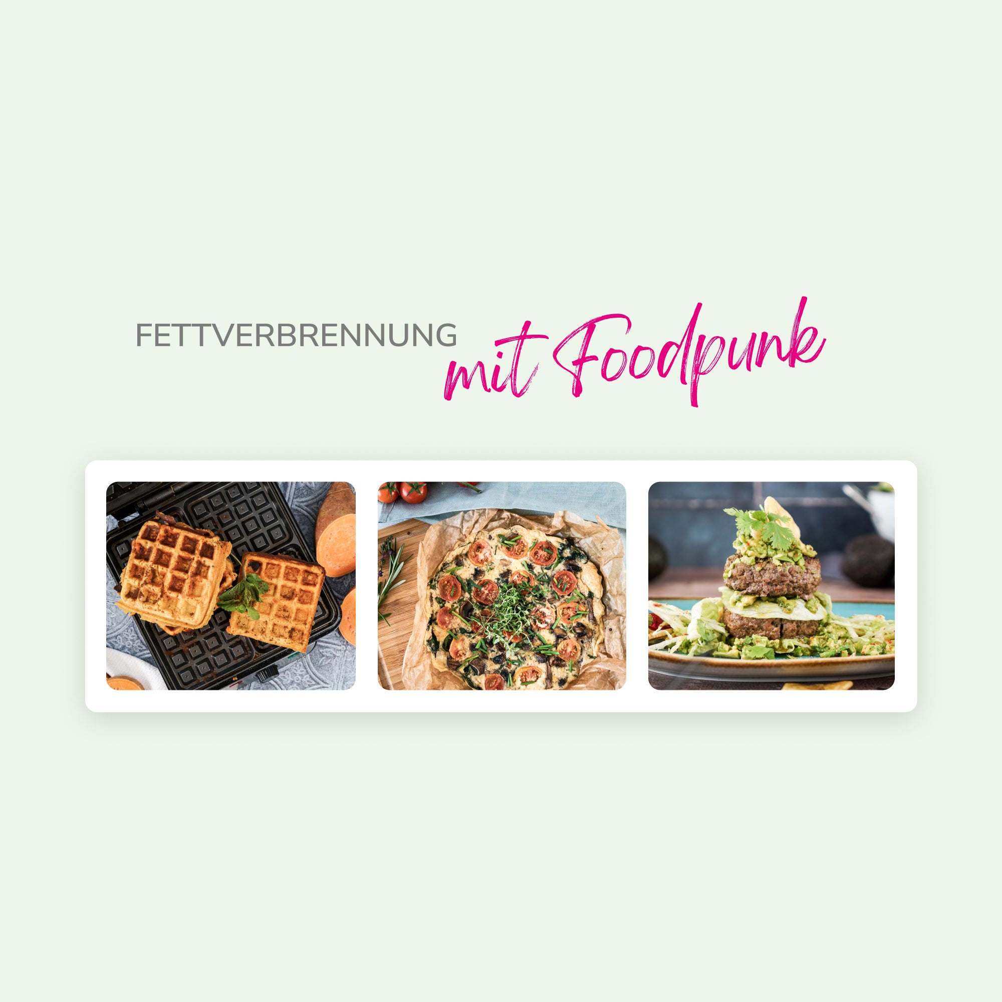 cerascreen-vital-individueller-ern-hrungsplan-ern-hrungs-coaching image 4