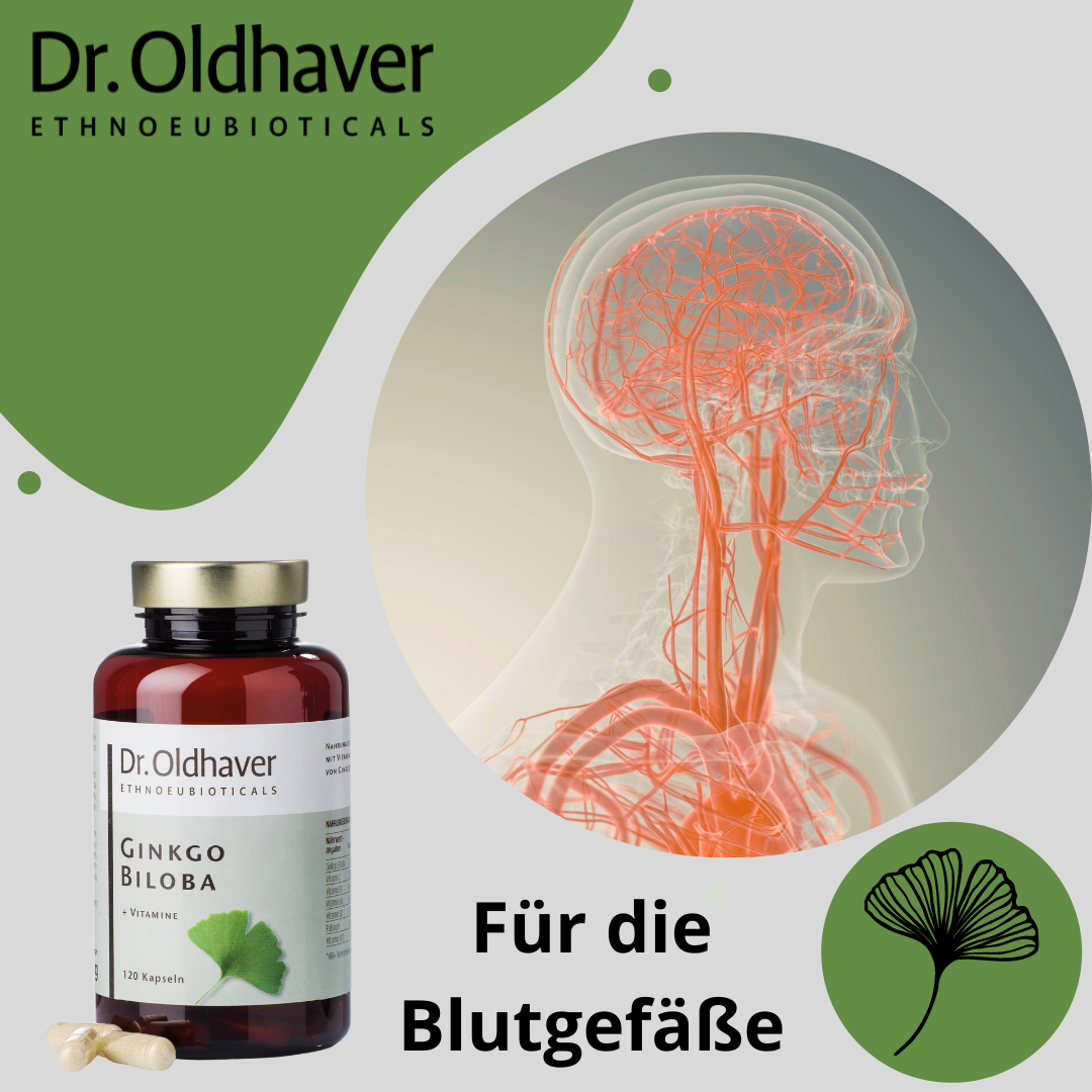 dr-oldhaver-ginkgo-biloba-kapseln-vitamine-120-kapseln image 7