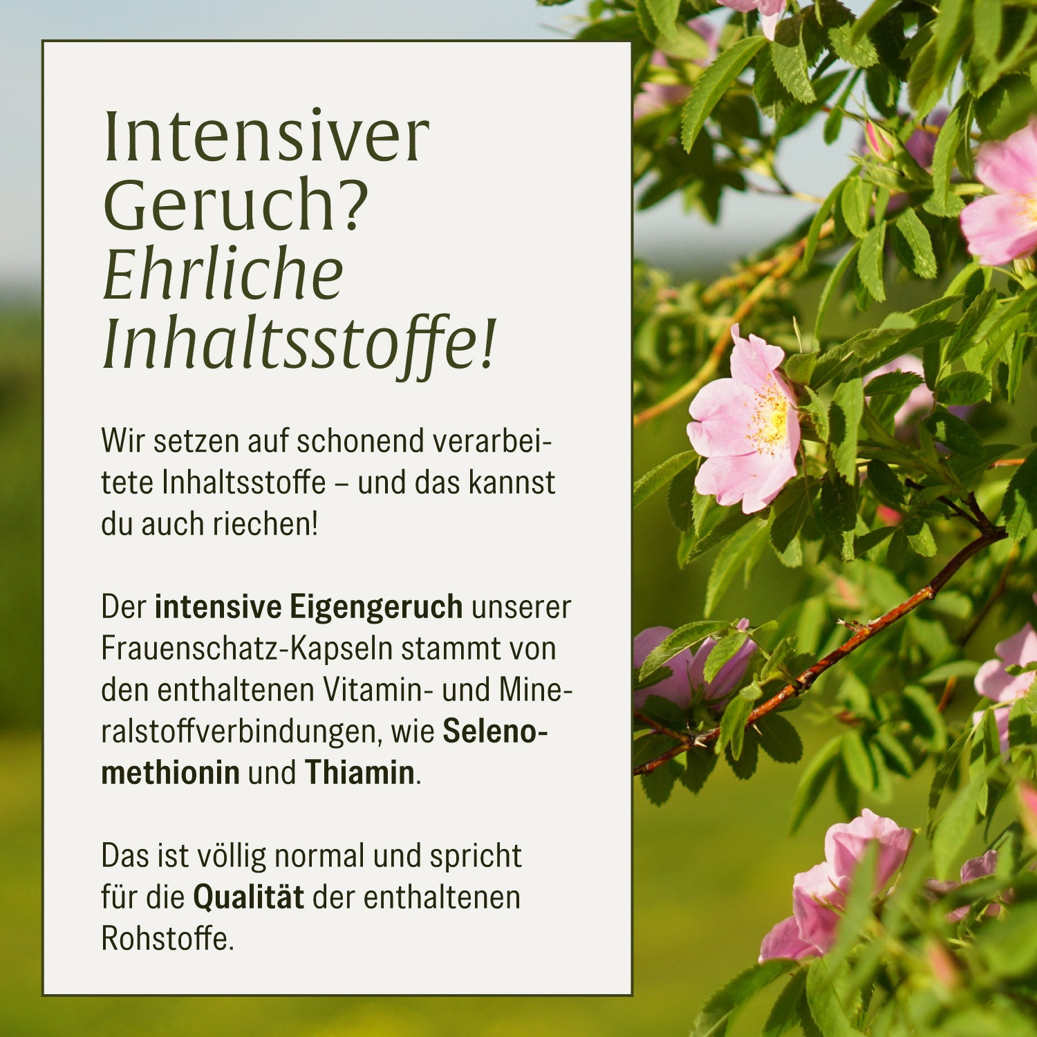 naturtreu-frauenschatz-21-vitamine-mineralstoffe-f-r-frauen-kapseln image 8