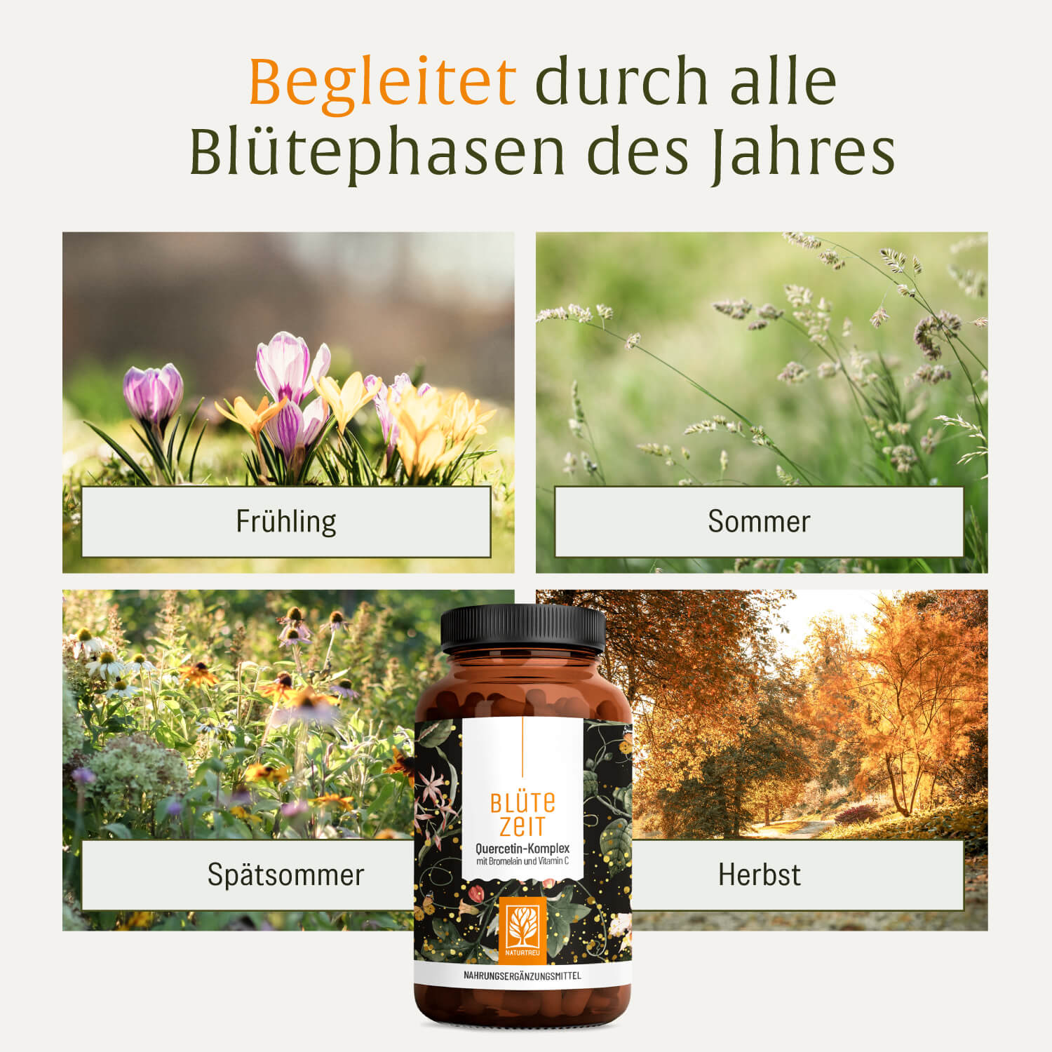 naturtreu-bl-tezeit-quercetin-komplex-kapseln-mit-bromelain-vitamin-c image 7