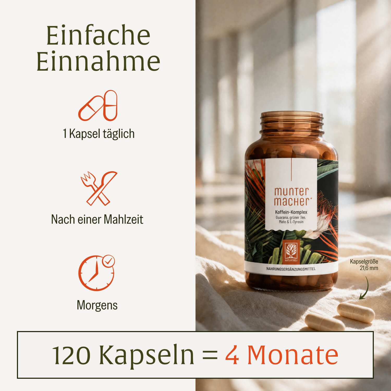 naturtreu-muntermacher-koffein-komplex-kapseln-mit-guarana-mate-gr-ntee-gr-nem-k image 6