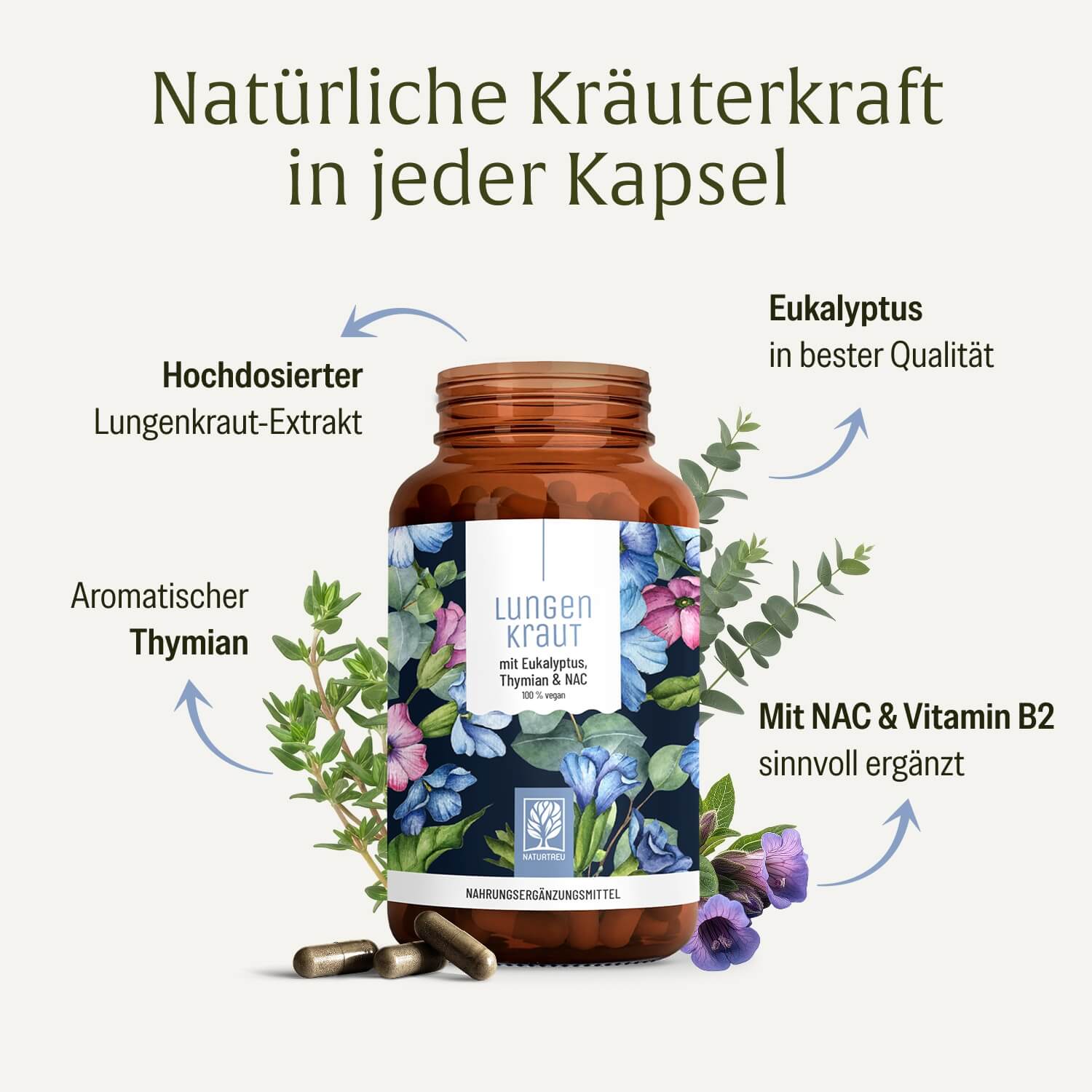 naturtreu-lungenkraut-eukalyptus-thymian-nac-kapseln image 3