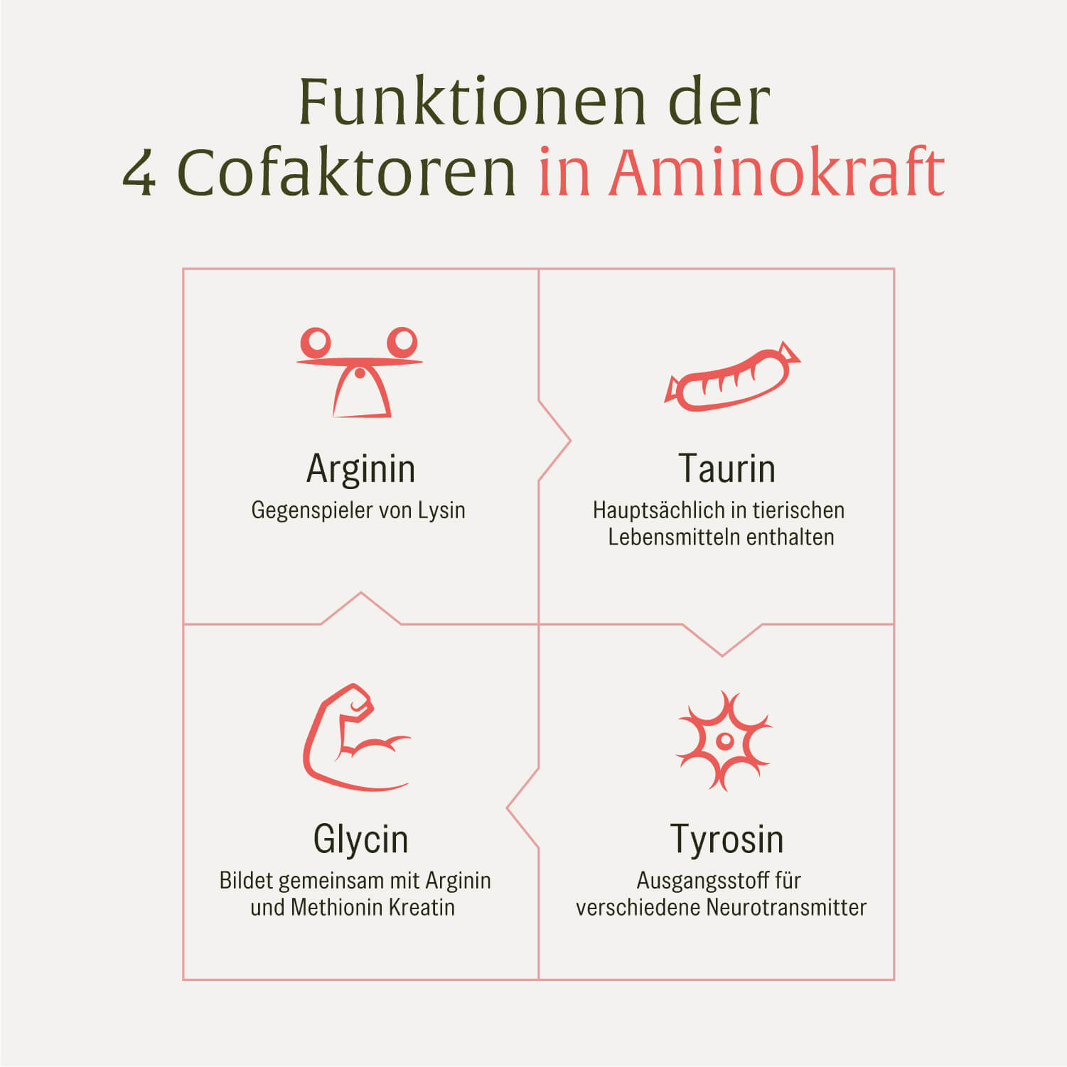 naturtreu-aminokraft-aminos-uren-komplex-kapseln image 8
