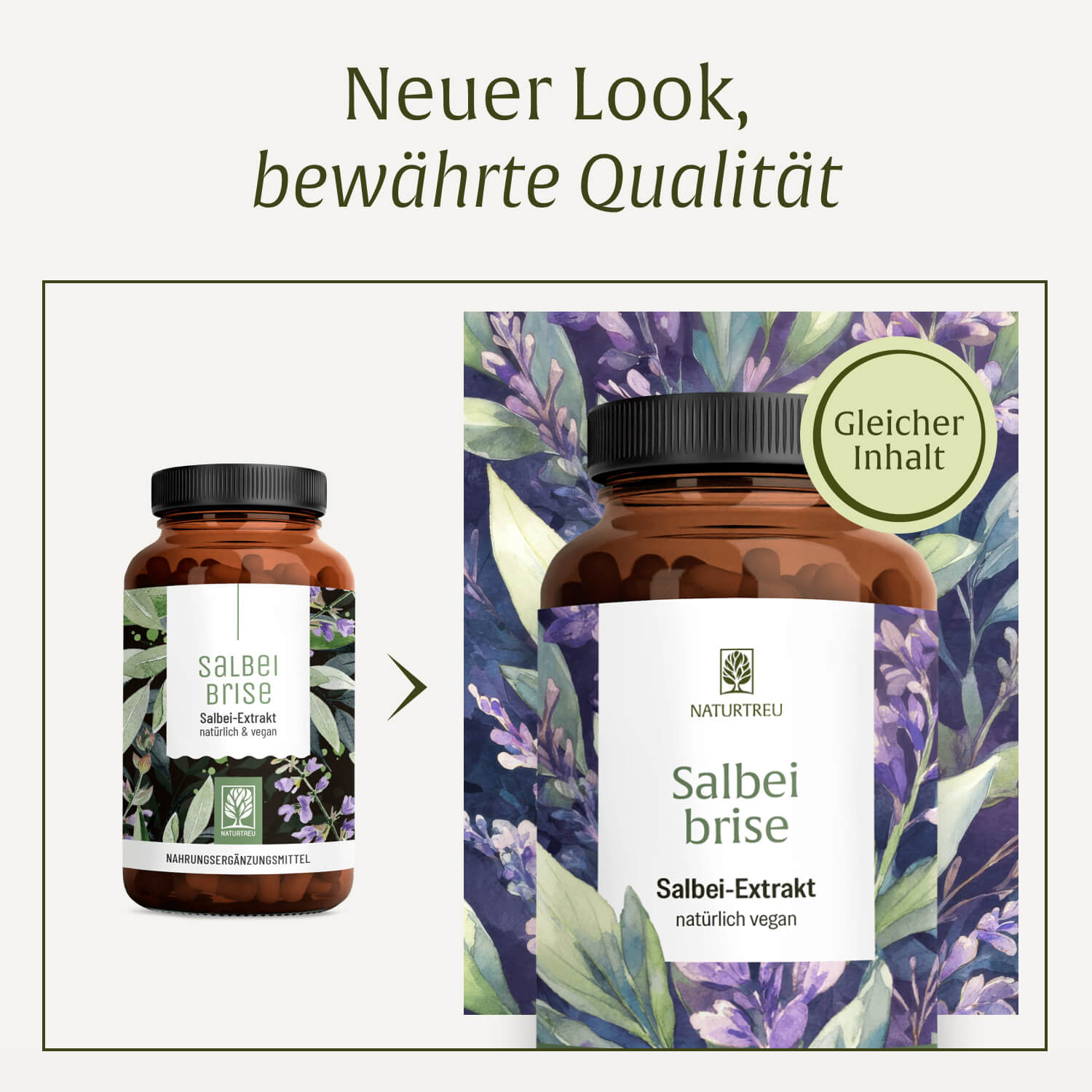 naturtreu-salbeibrise-hochdosierte-salbei-kapseln-vegan image 7