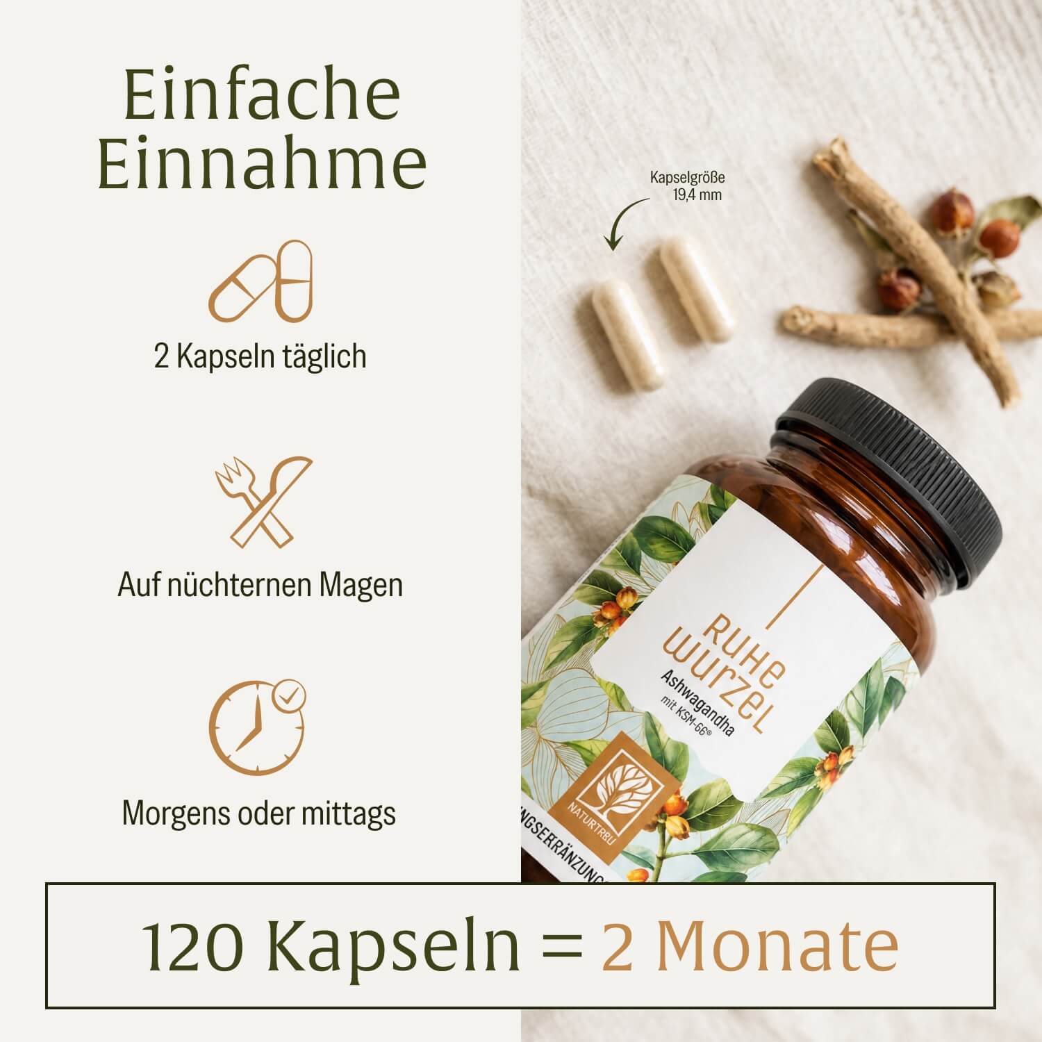 naturtreu-ruhewurzel-ashwagandha-mit-ksm-66-vitamin-b2 image 6