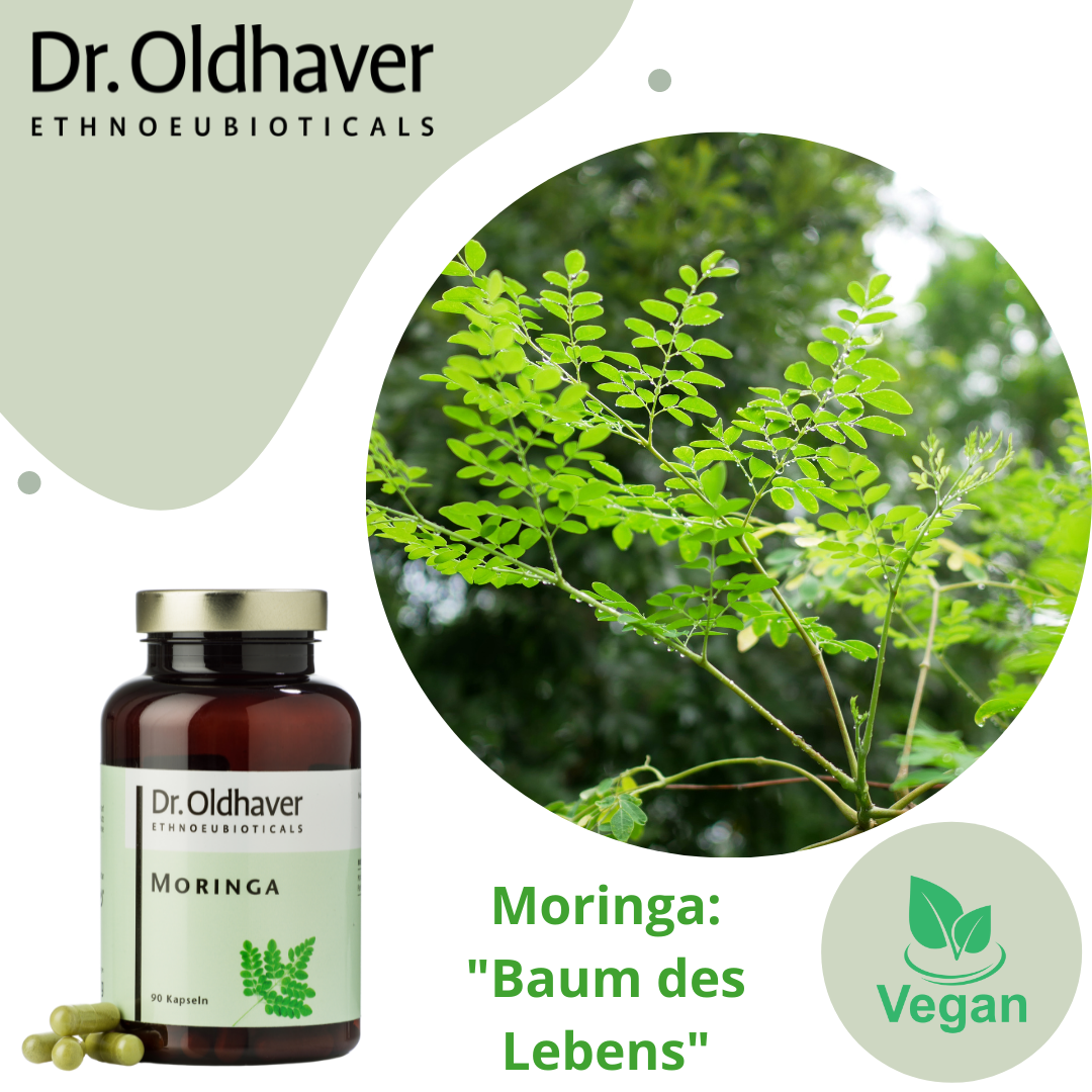 dr-oldhaver-moringa-kapseln-ayurvedischer-wunderbaum image 7
