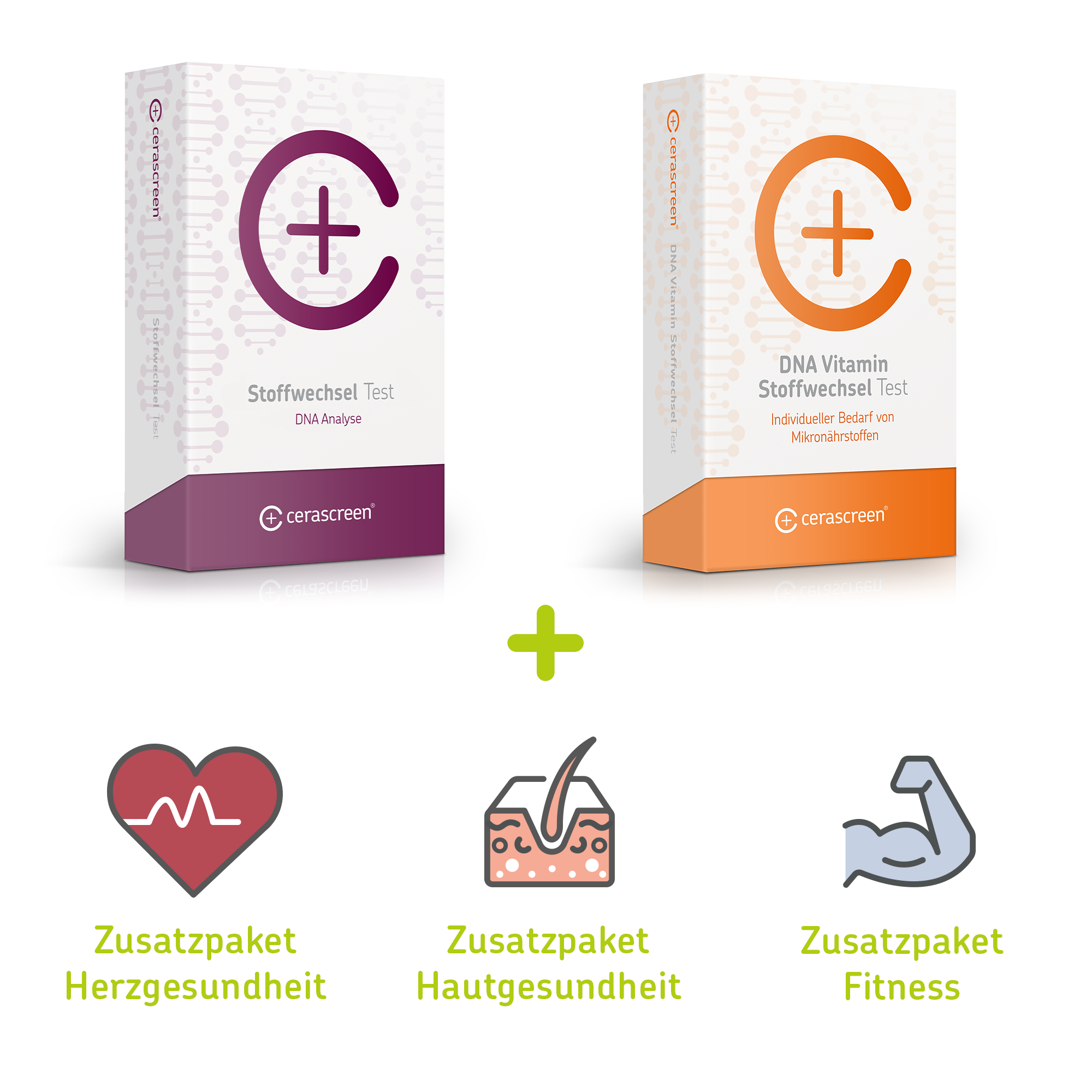 cerascreen-vital-dna-test-zusatzpaket-ergebnisbericht-pdf image 2