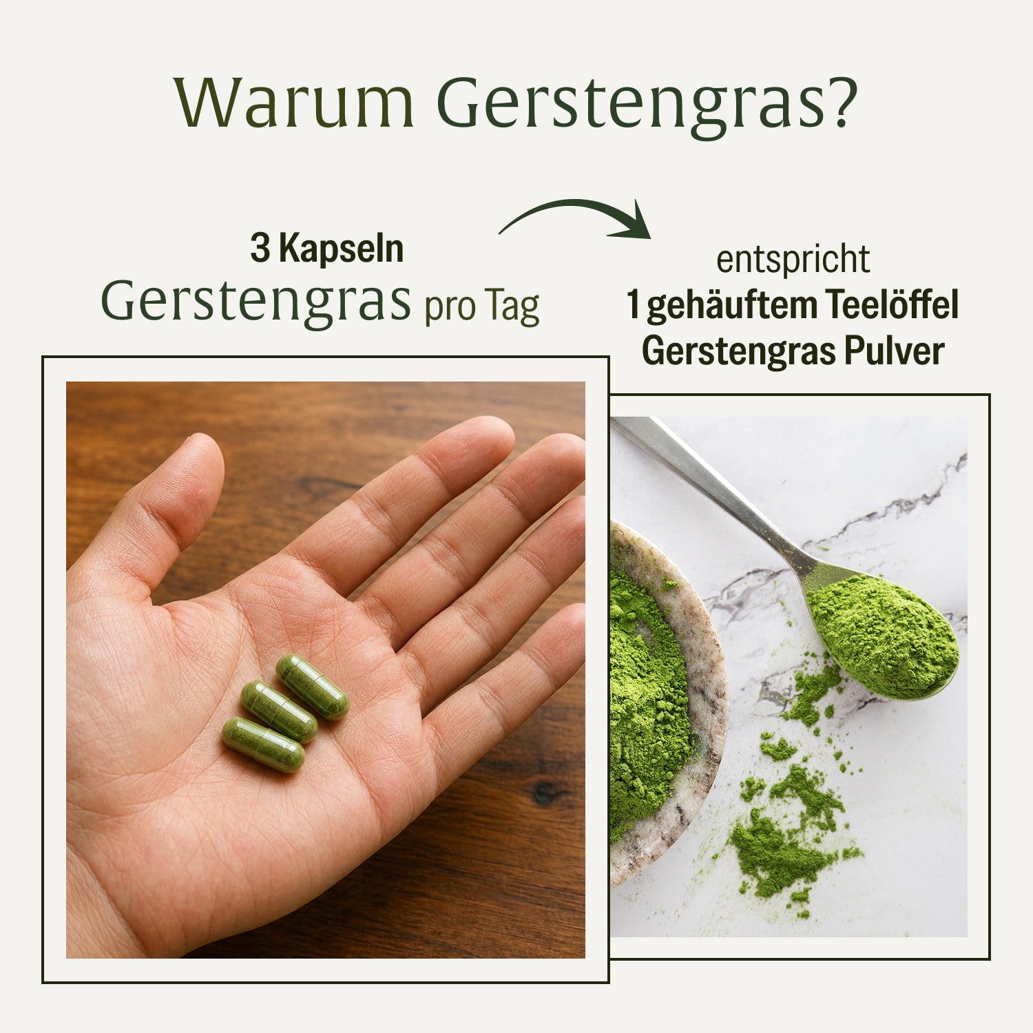 naturtreu-gerstengras-bio-gerstengras-kapseln-1-500-mg-tag image 6