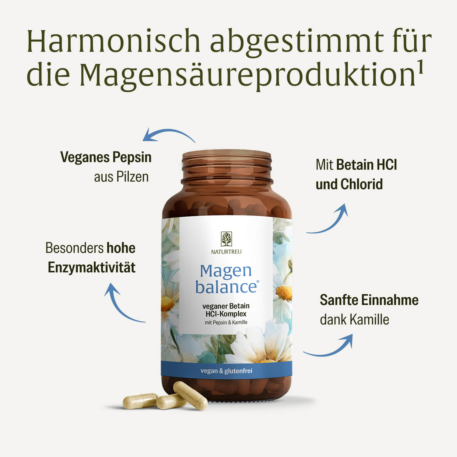 naturtreu-magenbalance-betain-hci-komplex-mit-pepsin-kamille image 3