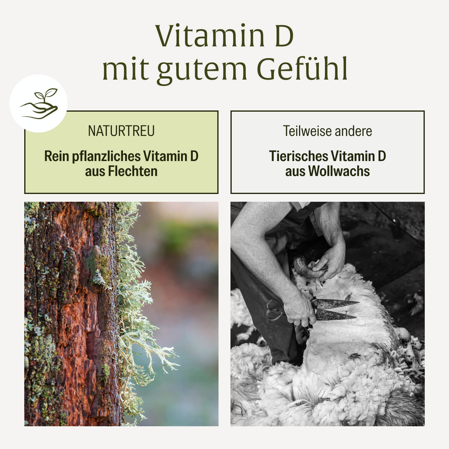 naturtreu-sonnenelixier-vitamin-d3-k2-tropfen-depot-20-000-i-e image 7