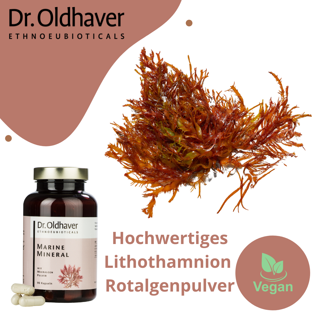 dr-oldhaver-marine-mineral-meeralgenpulver-90-kps image 4