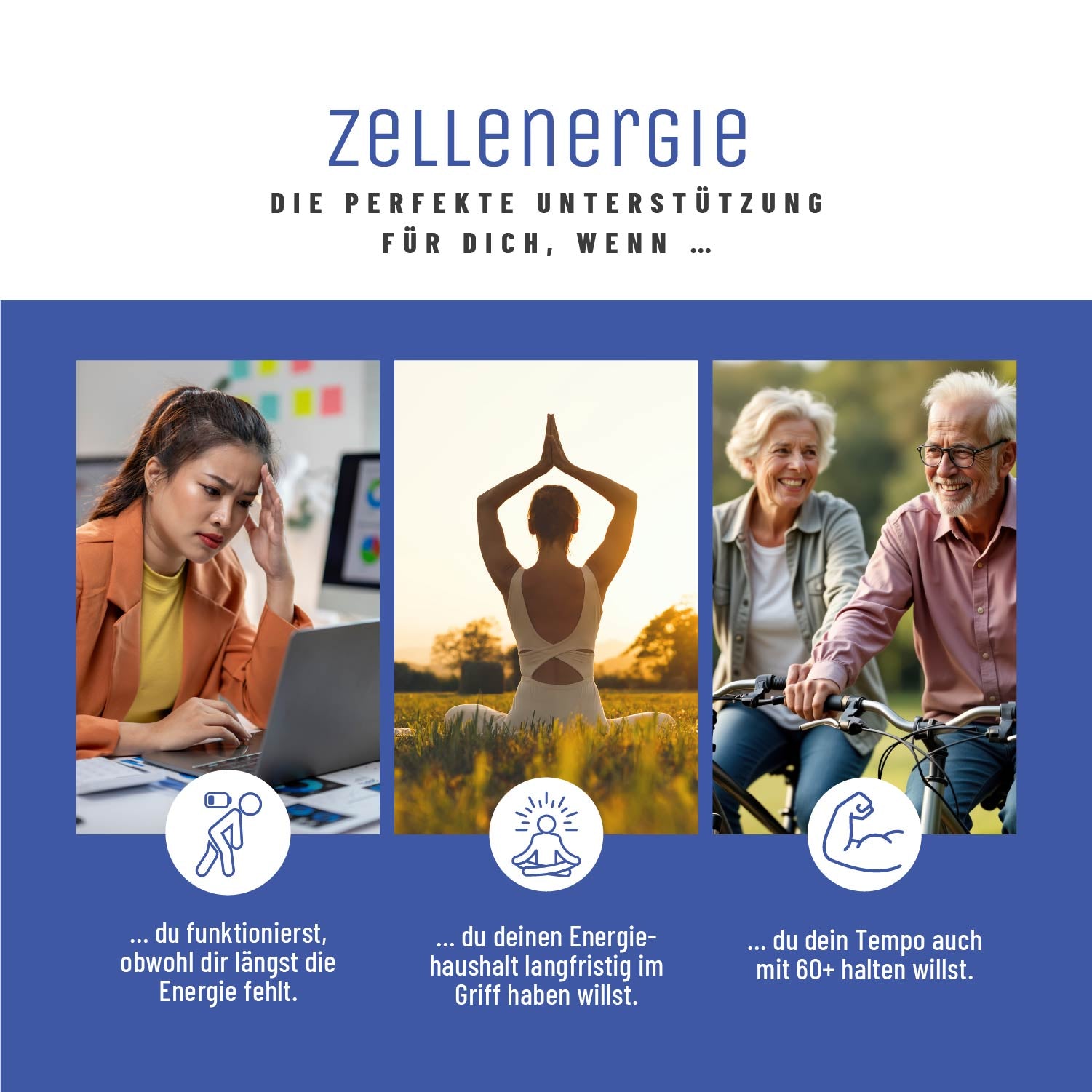 naturtreu-zellenergie-nr-komplex-mit-resveratrol-und-q10-kapseln image 6