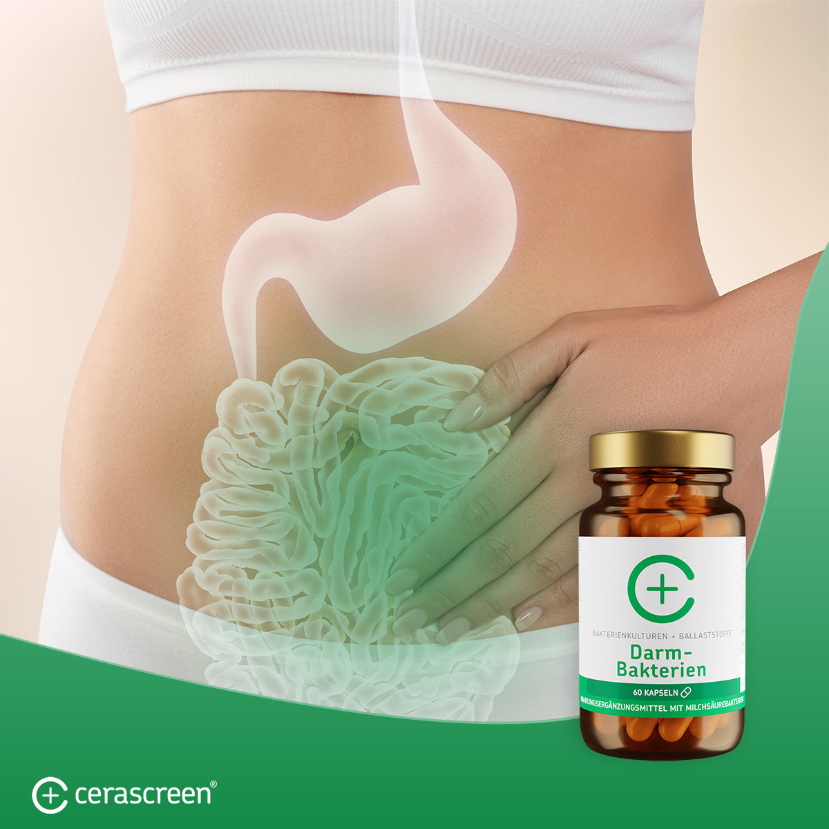 cerascreen-vital-darmflora-set-test-kapseln-kombi-paket image 3