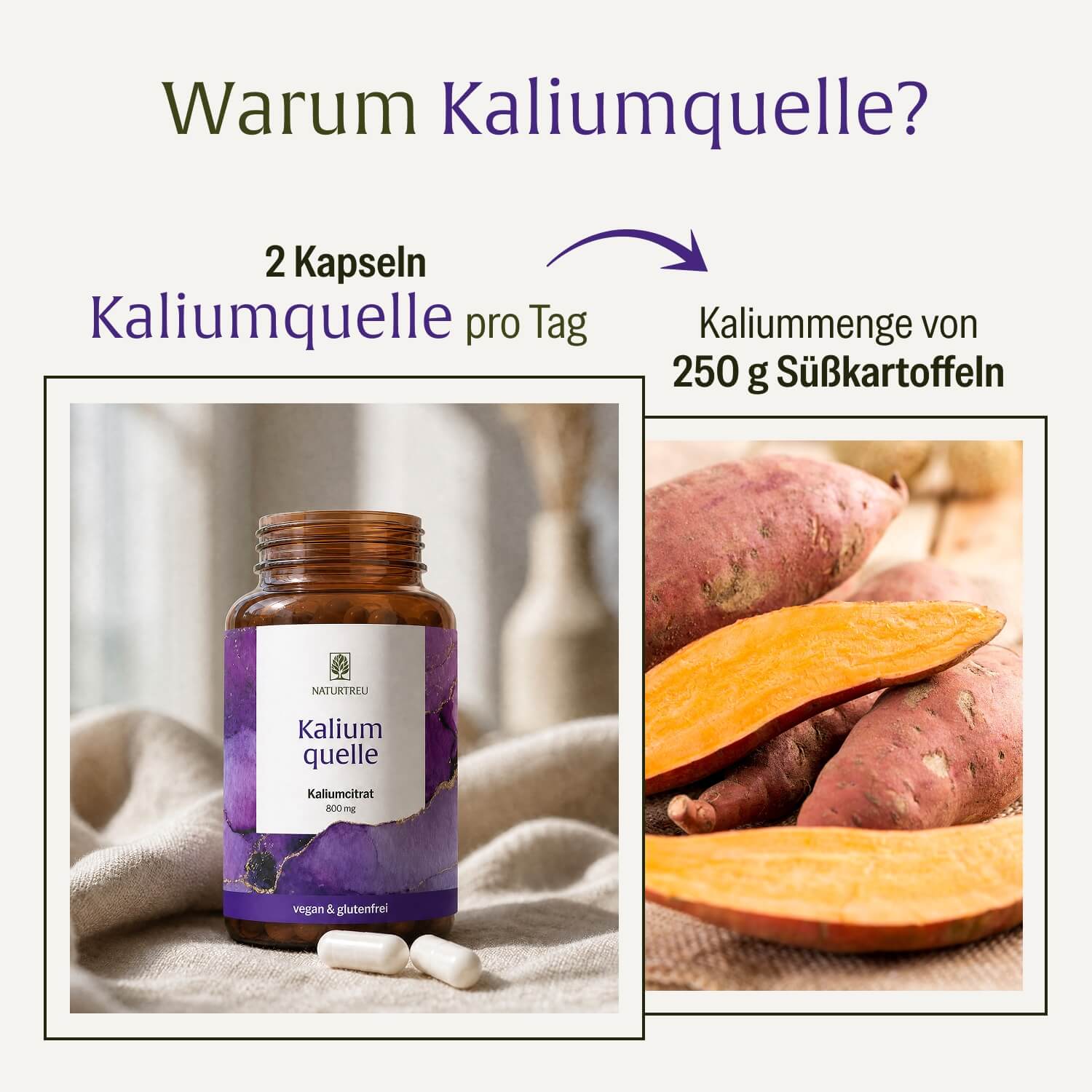 naturtreu-kaliumquelle-kalium-kapseln-mit-800-mg-kalium image 7