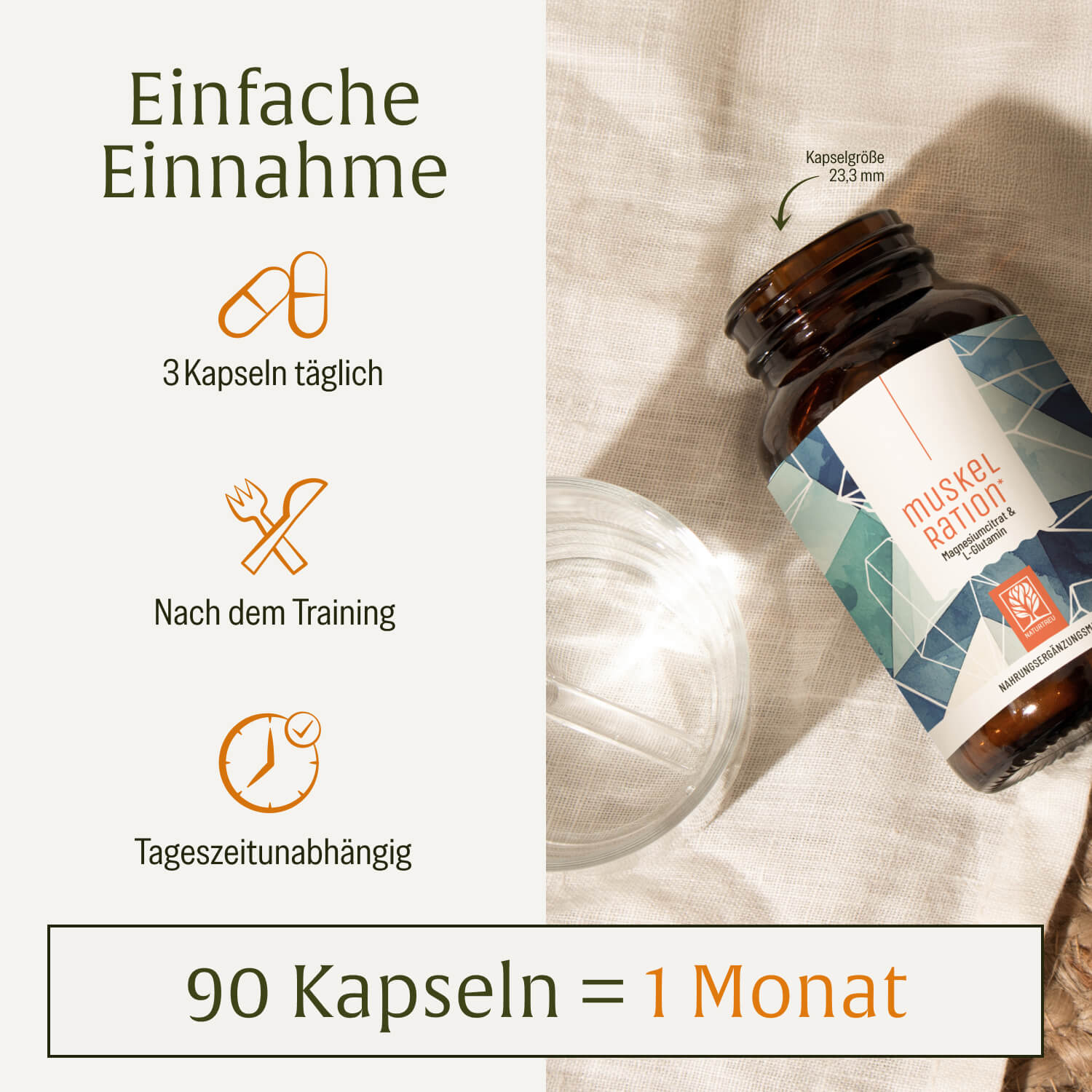 naturtreu-muskelration-magnesiumcitrat-l-glutamin-kapseln image 6