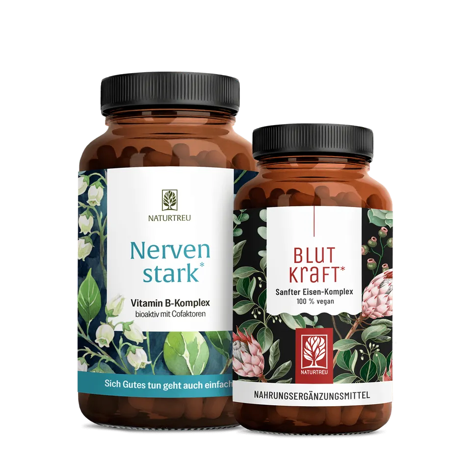 naturtreu-innere-st-rke-sparpaket-nervenstark-blutkraft-2er-bundle-mit-eisen-b-v image 1