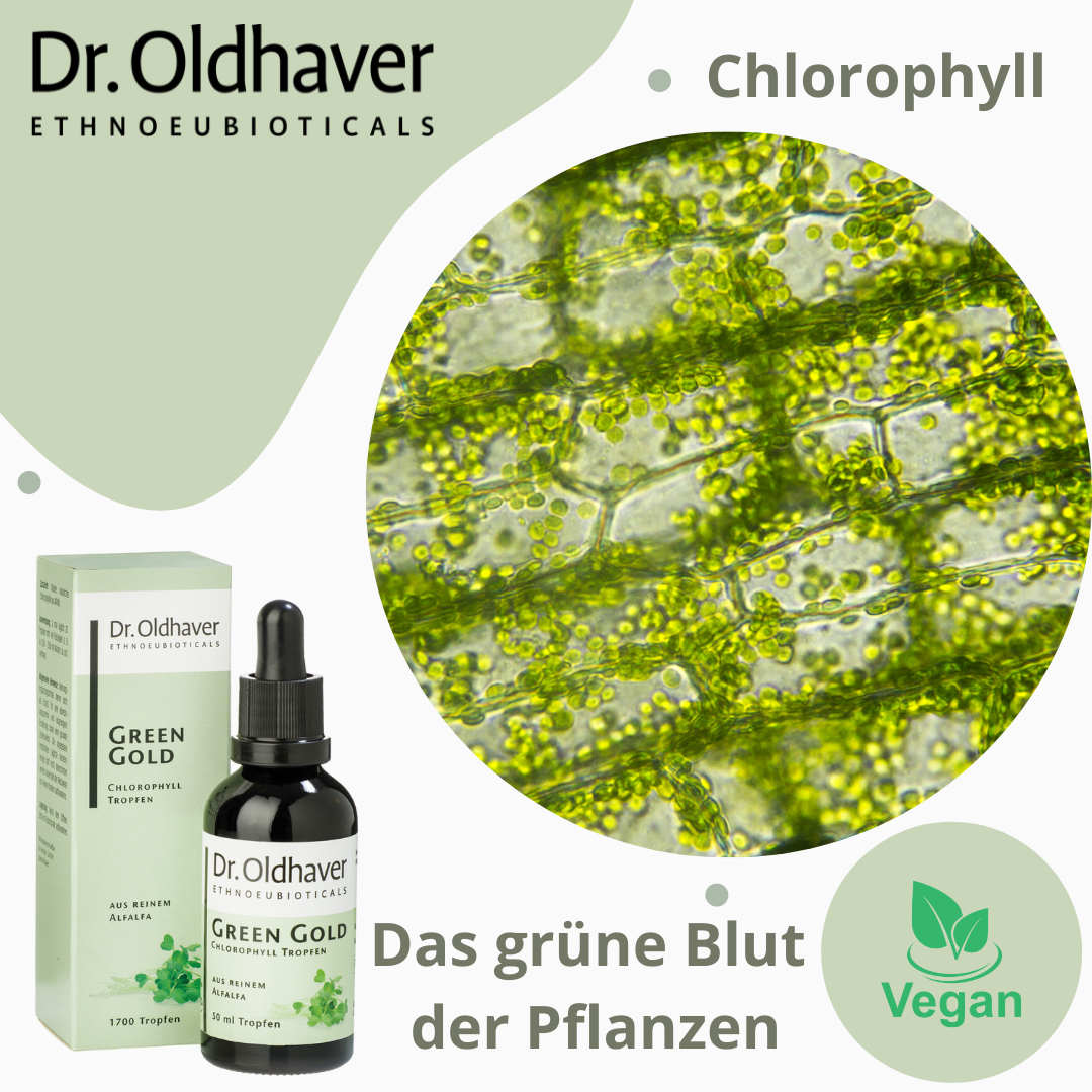 dr-oldhaver-green-gold-chlorophyll-tropfen image 6