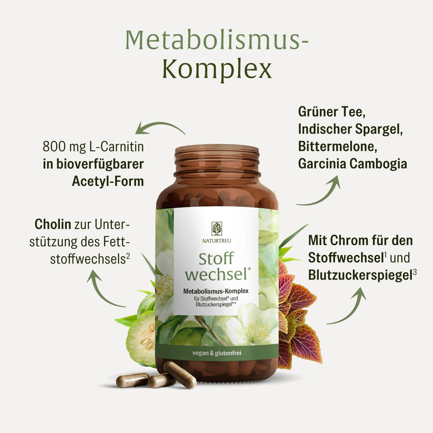 naturtreu-stoffwechsel-metabolismus-komplex-kapseln image 3