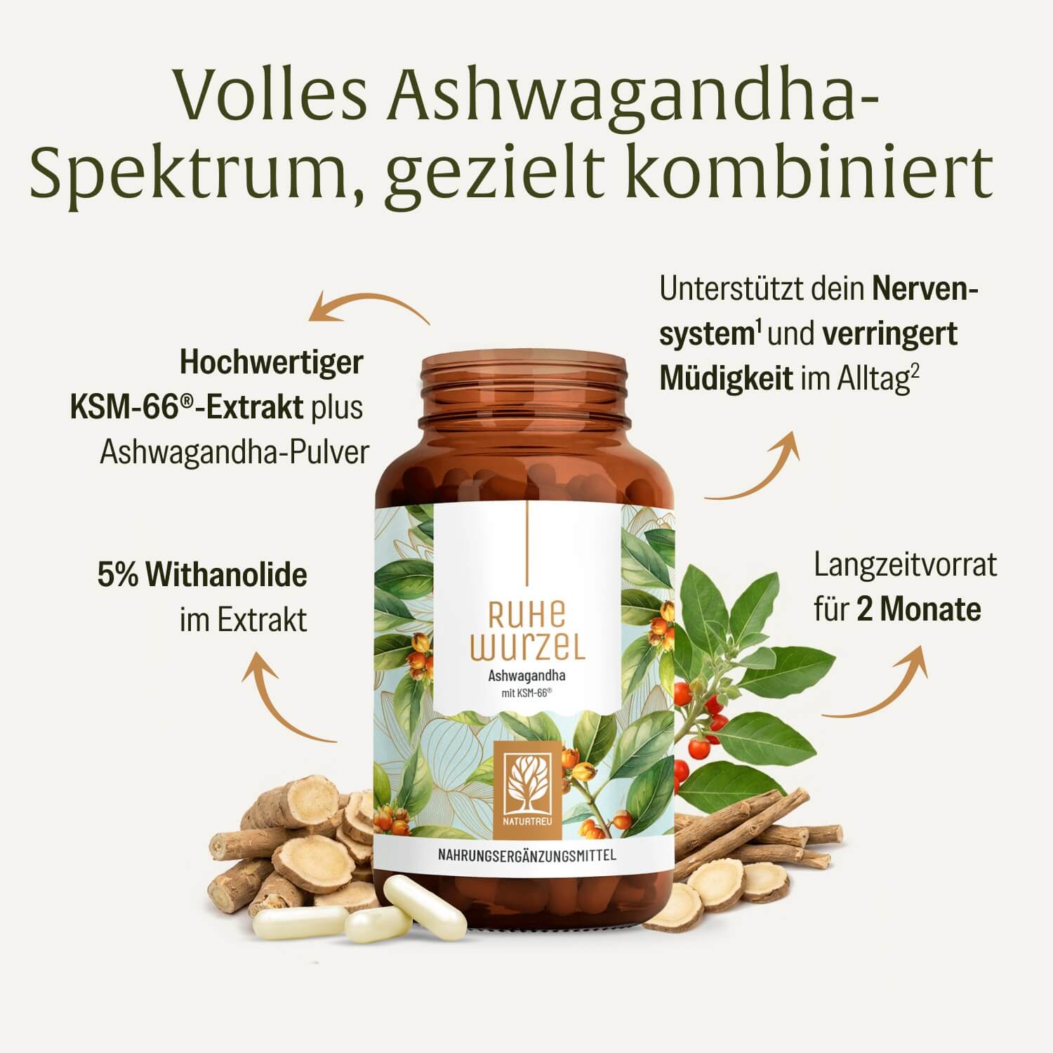 naturtreu-ruhewurzel-ashwagandha-mit-ksm-66-vitamin-b2 image 3