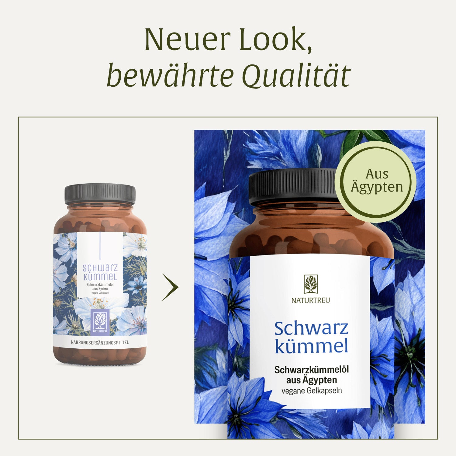 naturtreu-schwarzk-mmel-schwarzk-mmel-l-kapseln-aus-gypten image 7