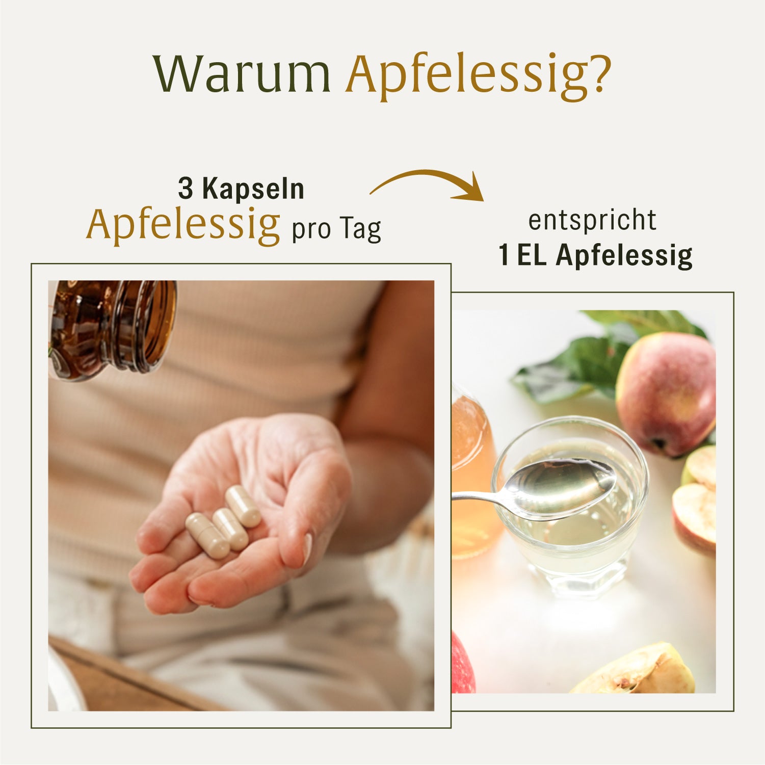naturtreu-apfelessig-kapseln-mit-cayennepfeffer-milchs-urebakterien-und-cholin image 8