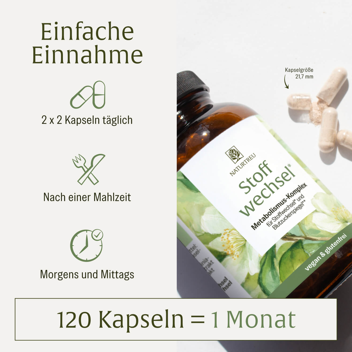 naturtreu-stoffwechsel-metabolismus-komplex-kapseln image 6