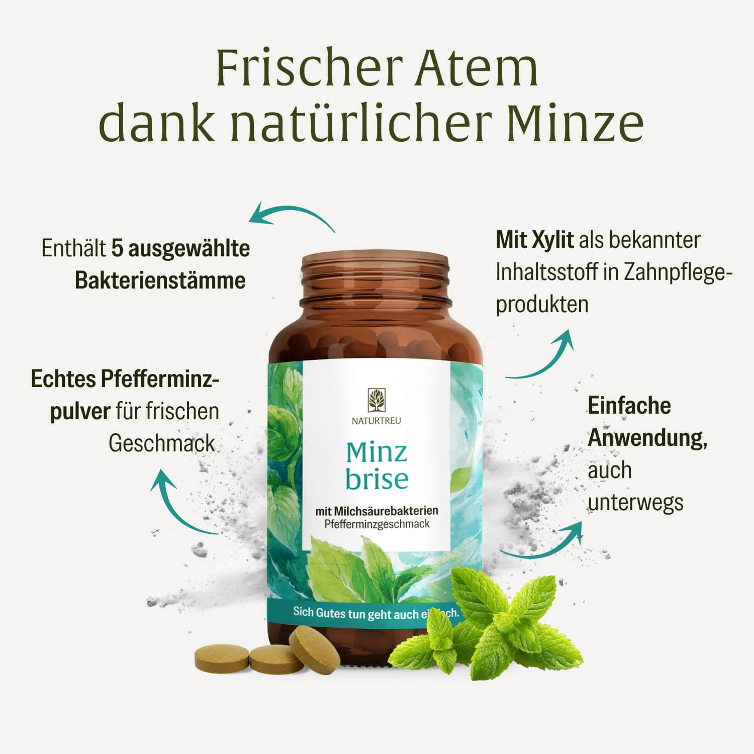 naturtreu-minzbrise-lutschpastillen-mit-milchs-urebakterien-minze-xylit image 3