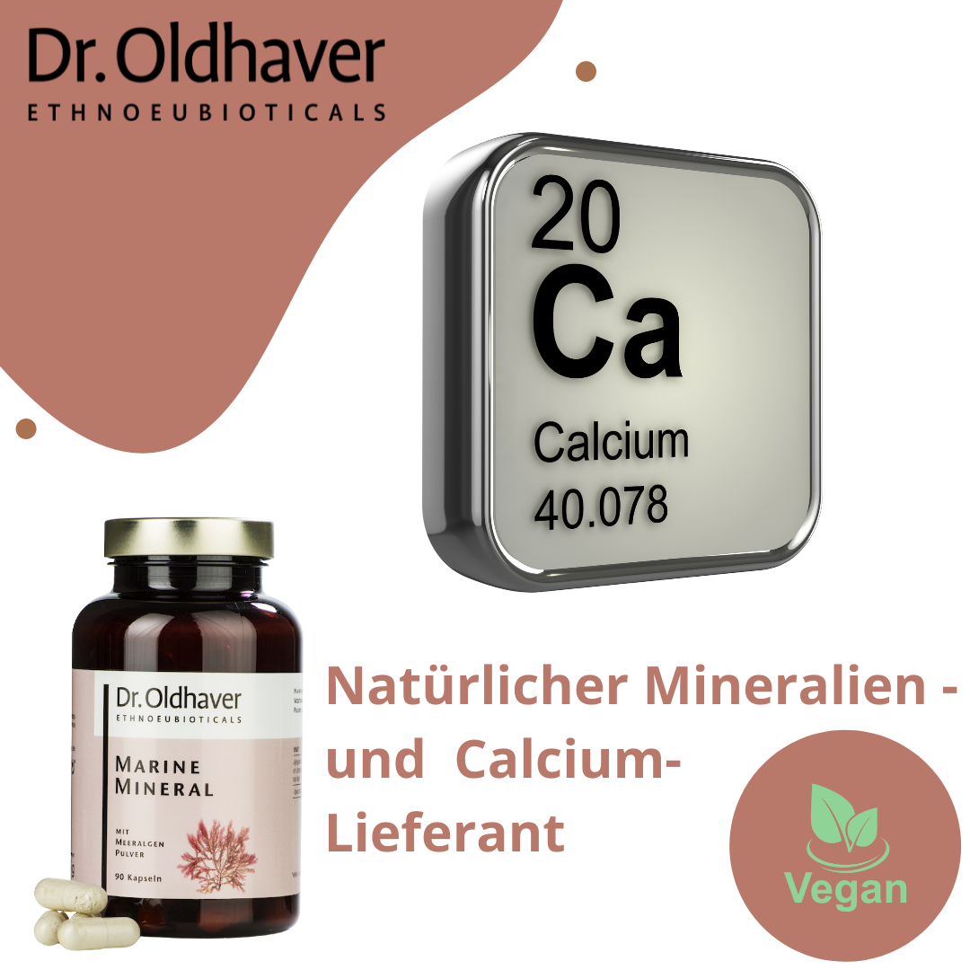 dr-oldhaver-marine-mineral-meeralgenpulver-90-kps image 5