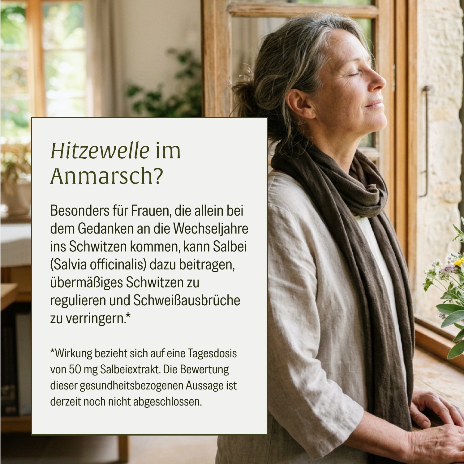 naturtreu-salbeibrise-hochdosierte-salbei-kapseln-vegan image 8