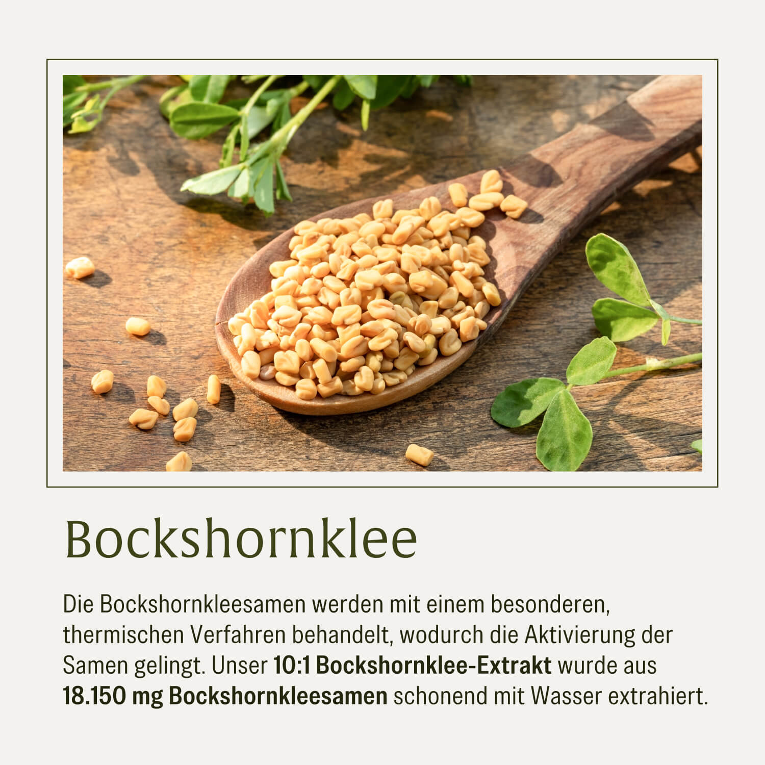naturtreu-stillzeit-aktivierter-bockshornklee-komplex-kapseln image 8