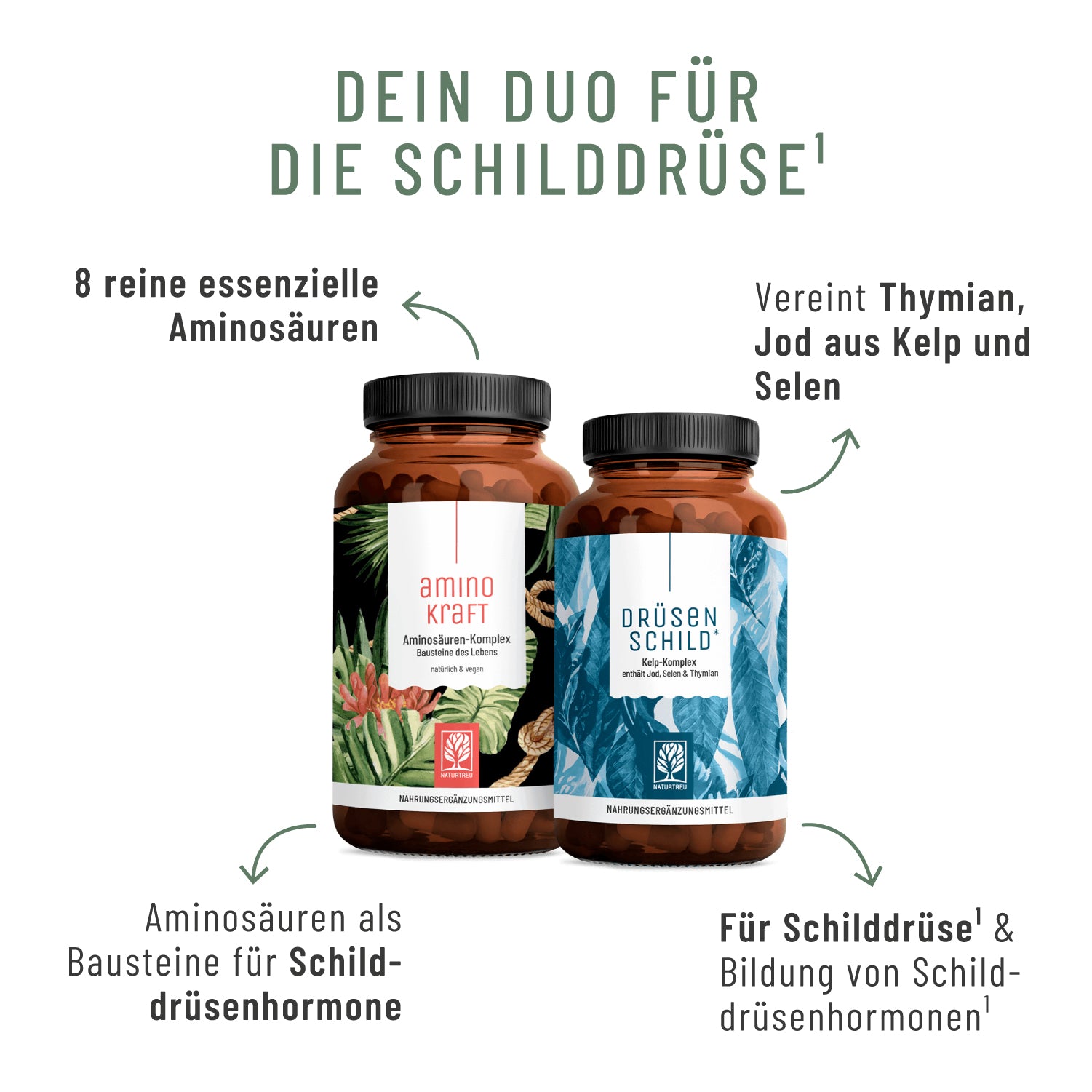 naturtreu-schildkraft-sparpaket-aminokraft-dr-senschild-kombi image 2