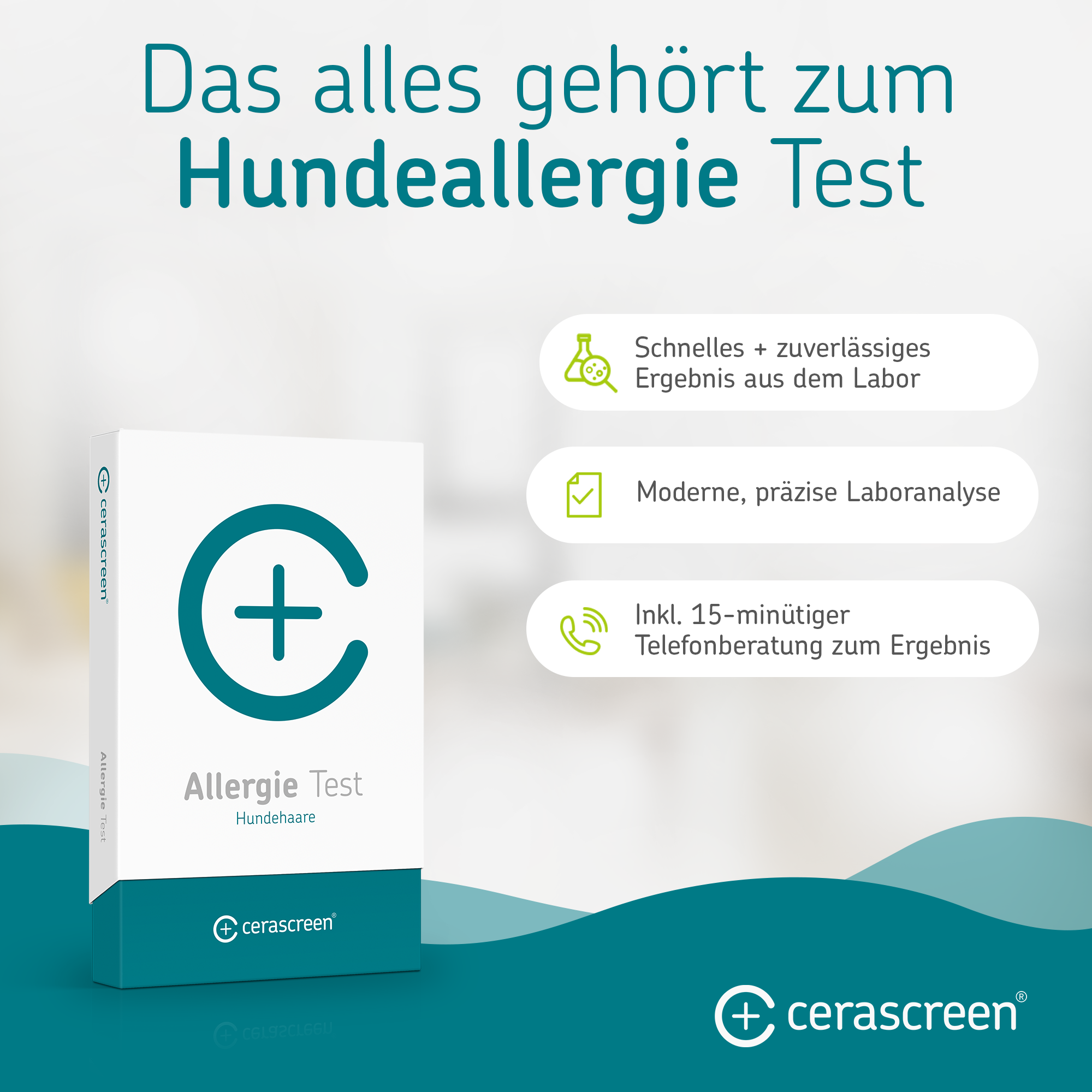 cerascreen-vital-hundeallergie-test-bluttest-allergie image 5