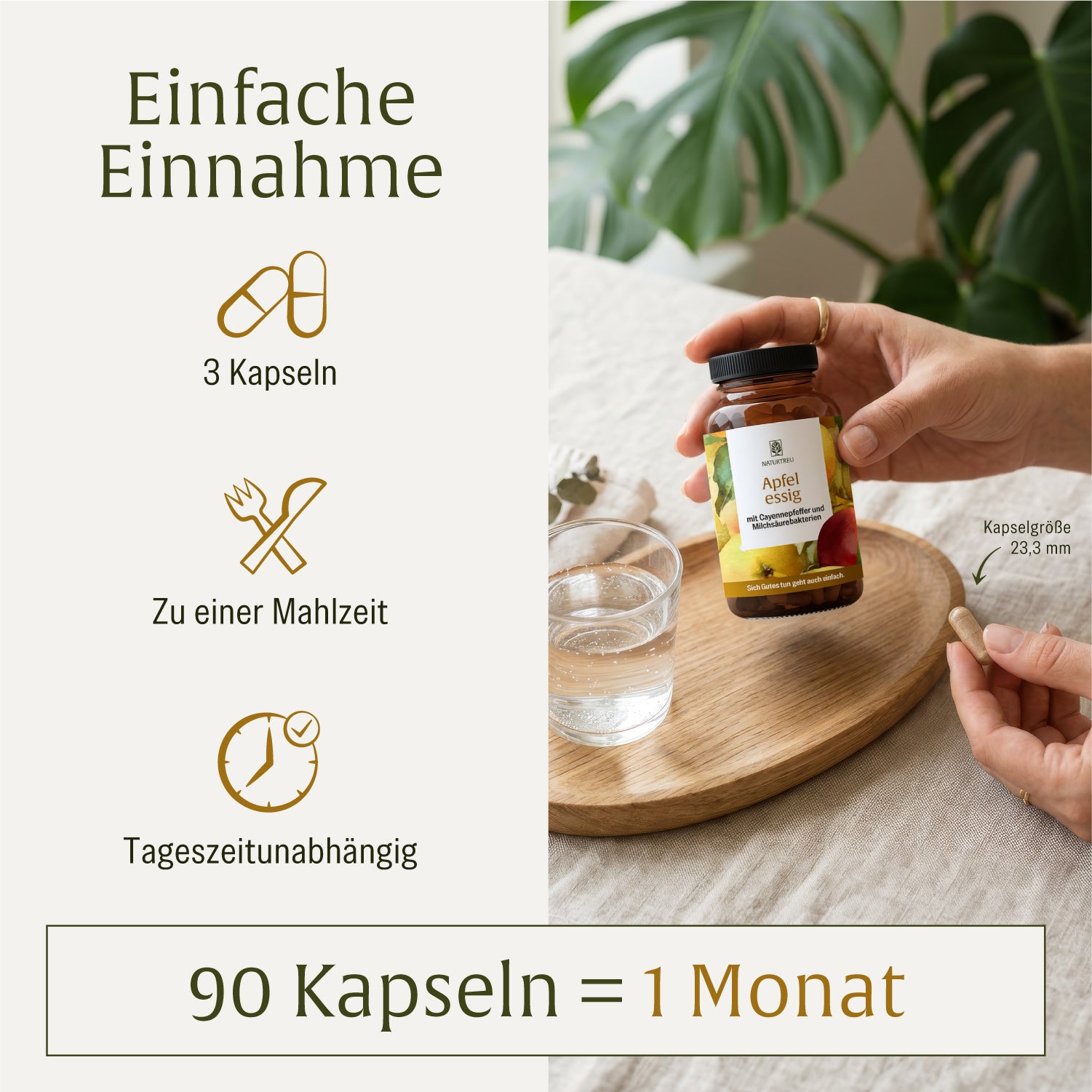 naturtreu-apfelessig-kapseln-mit-cayennepfeffer-milchs-urebakterien-und-cholin image 6