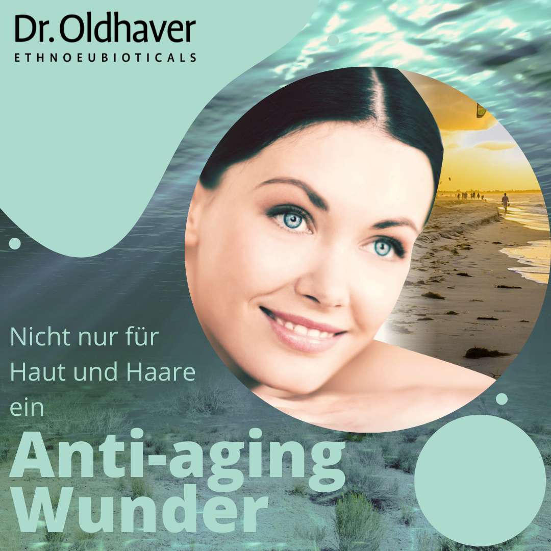 dr-oldhaver-ecklonia-cava-kapseln-90-kps-braunalgen-antioxidans image 4