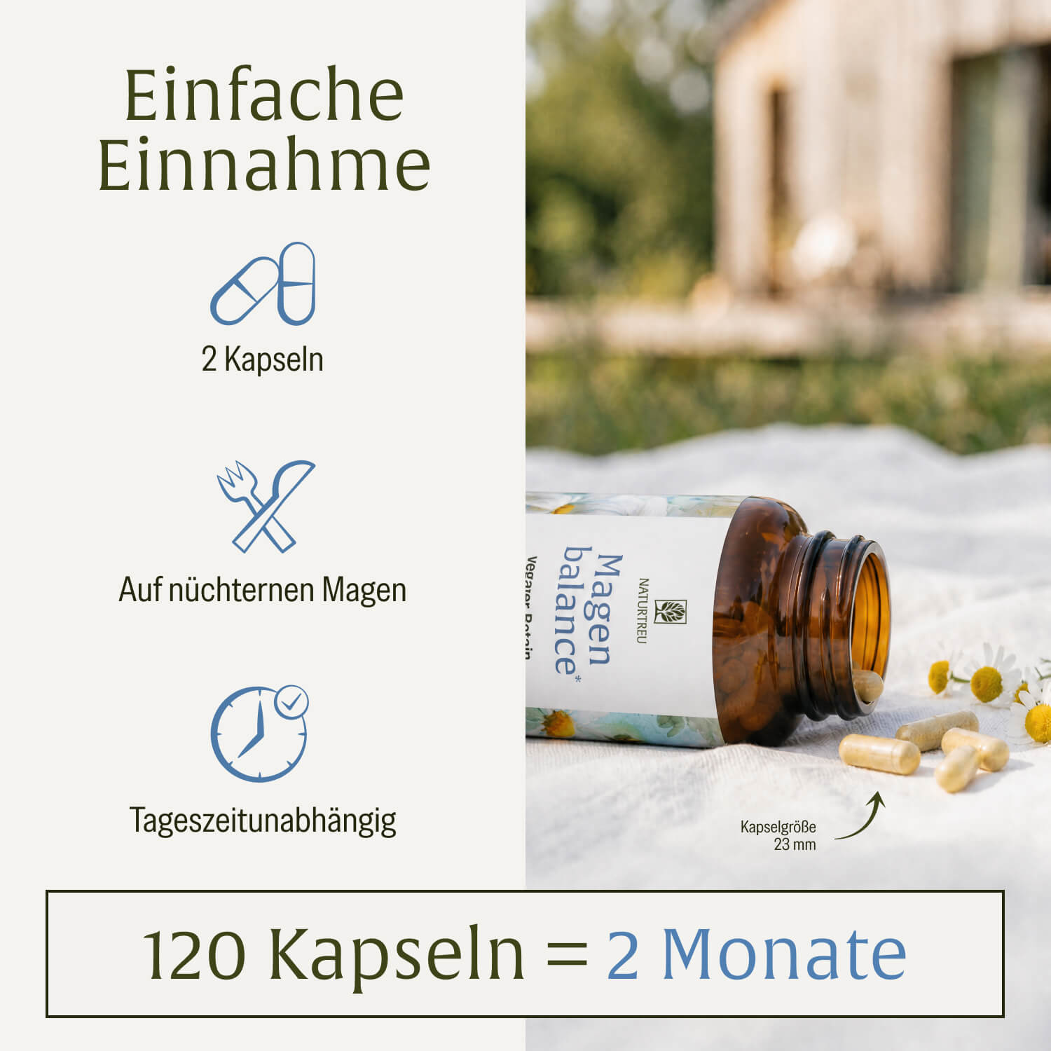 naturtreu-magenbalance-betain-hci-komplex-mit-pepsin-kamille image 6