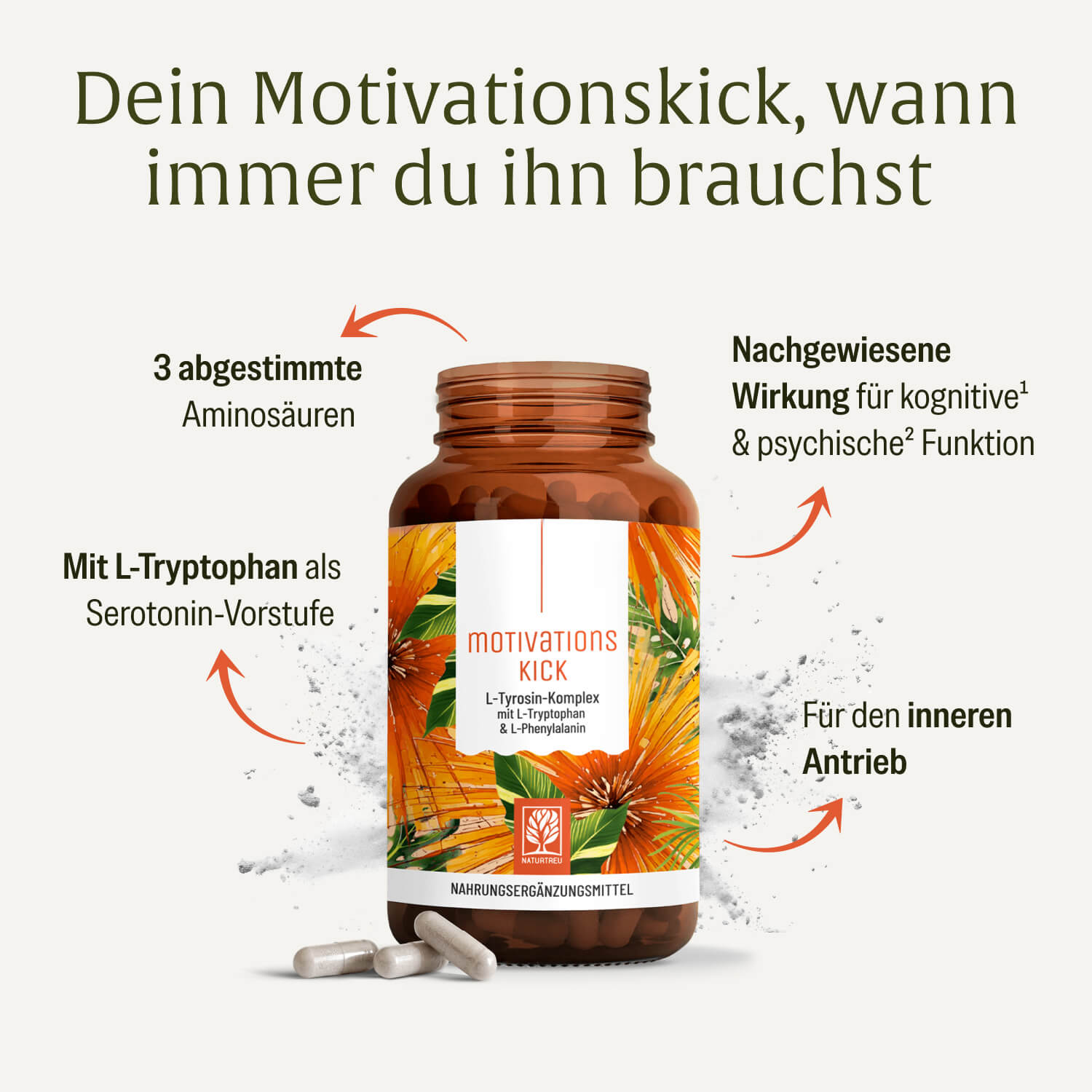naturtreu-motivationskick-l-tyrosin-komplex-mit-l-tryptophan-l-phenylalanin image 3