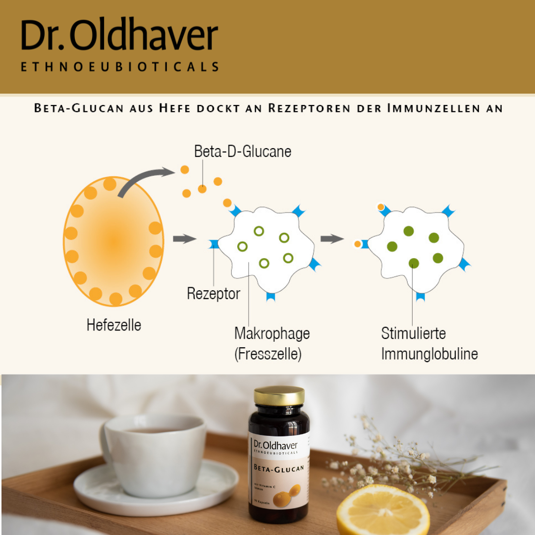 dr-oldhaver-beta-glucan-vitamin-c-immun-kapseln-90-kps image 6