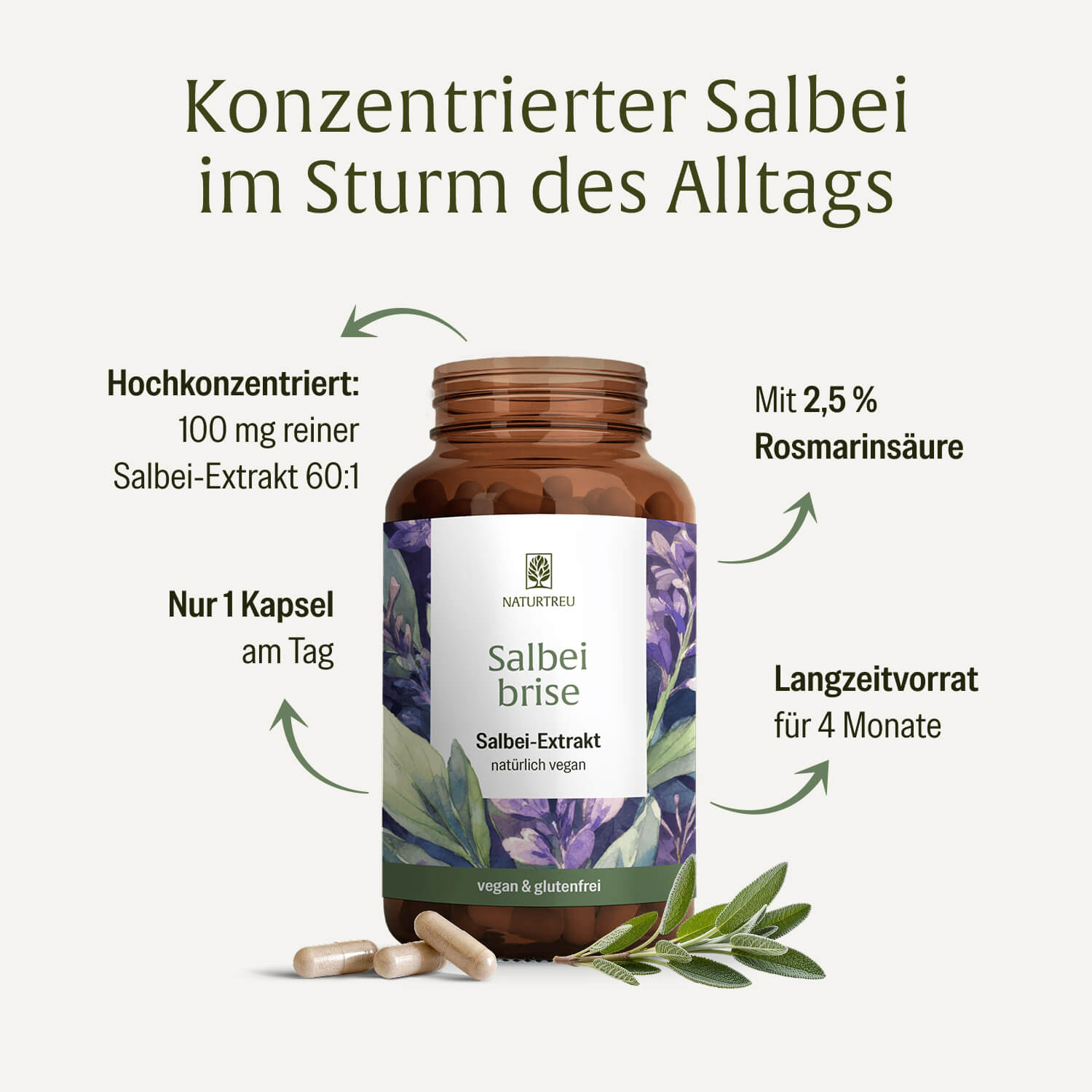 naturtreu-salbeibrise-hochdosierte-salbei-kapseln-vegan image 3