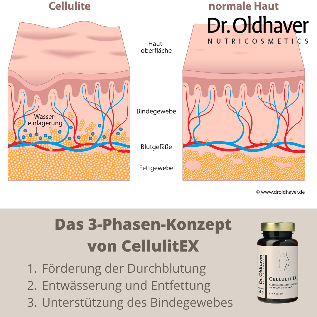 dr-oldhaver-cellulitex-bindegewebskapseln-120-kapseln image 5