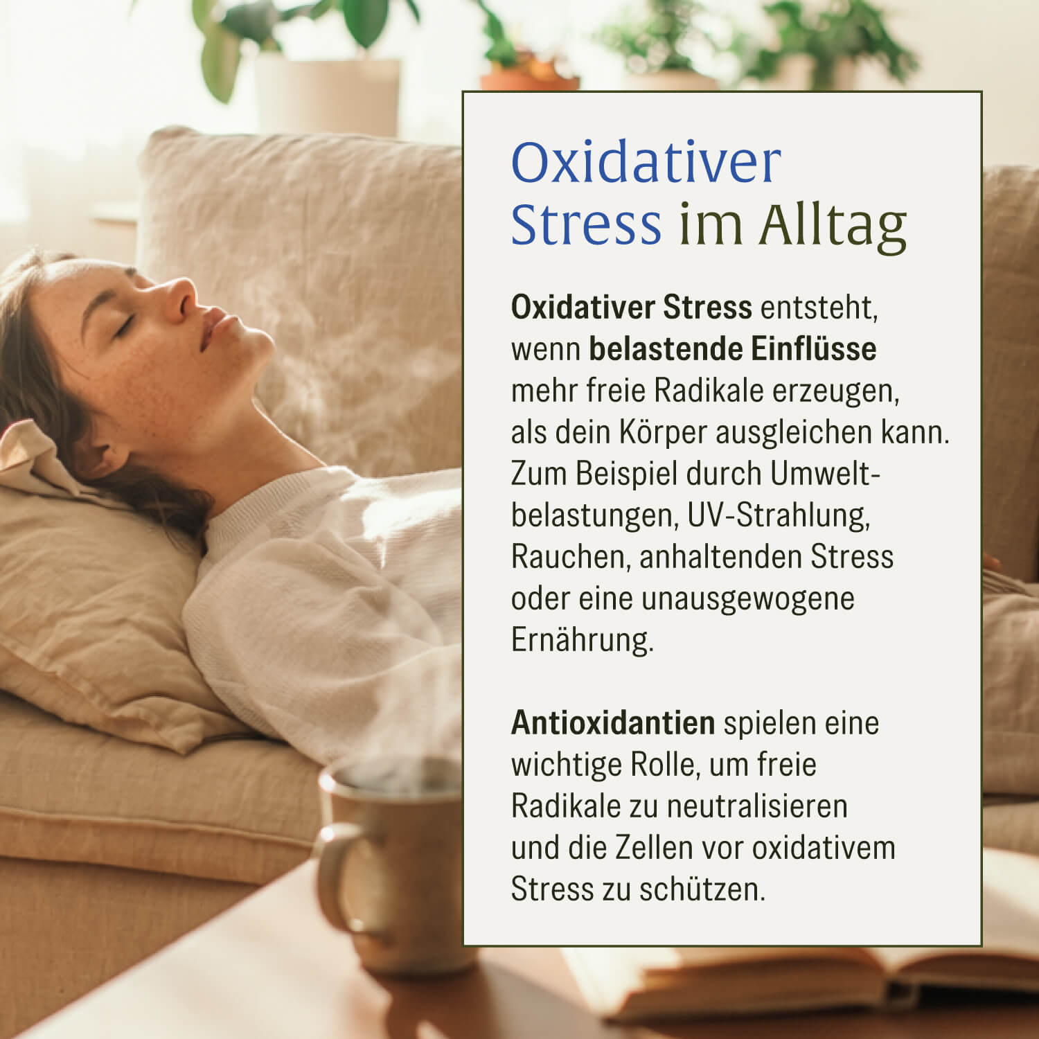 naturtreu-schwarzk-mmel-schwarzk-mmel-l-kapseln-aus-gypten image 8
